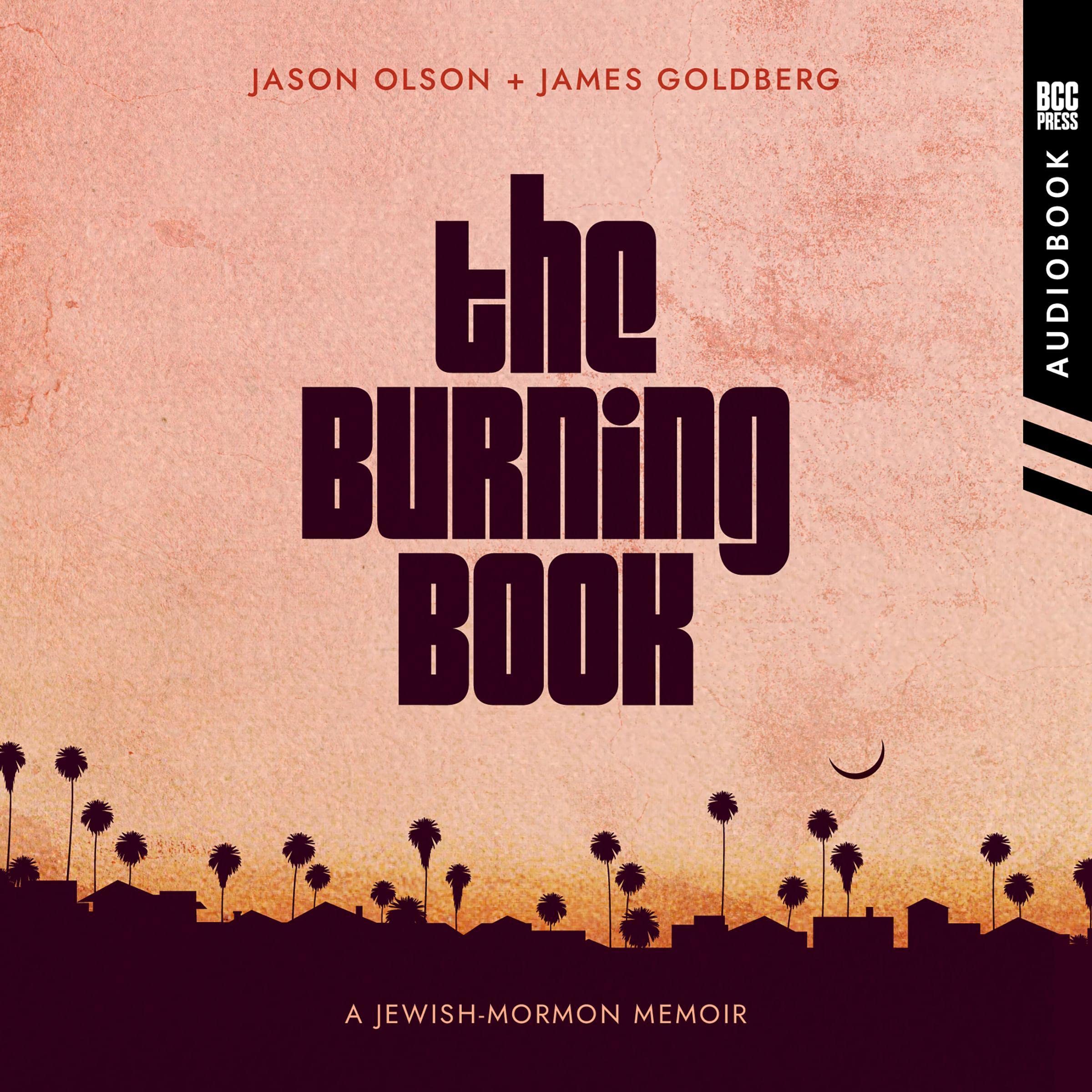 Cover art for The Burning Book