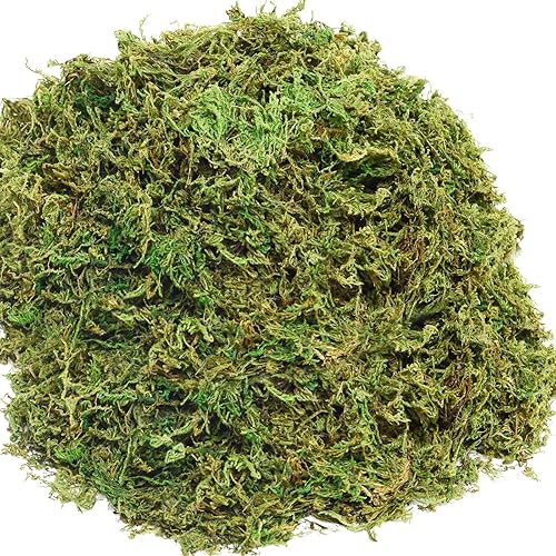 10OZ Fake Moss Artificial Moss for Potted Plants Greenery MossHome