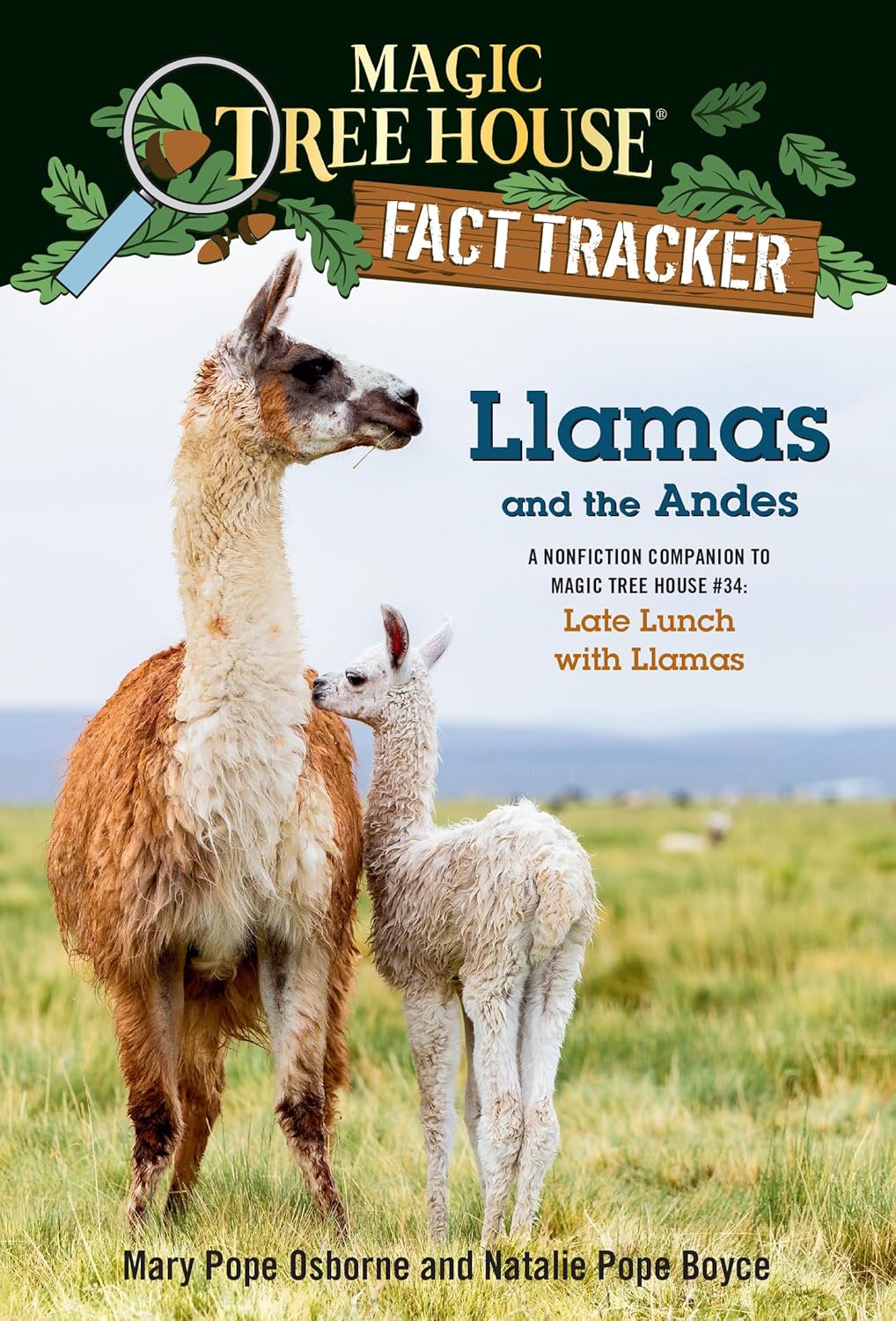 Llamas and the Andes: A nonfiction companion to Magic Tree House #34: Late Lunch with Llamas (Magic Tree House Fact Tracker)      Paperback – Illustrated, July 7, 2020