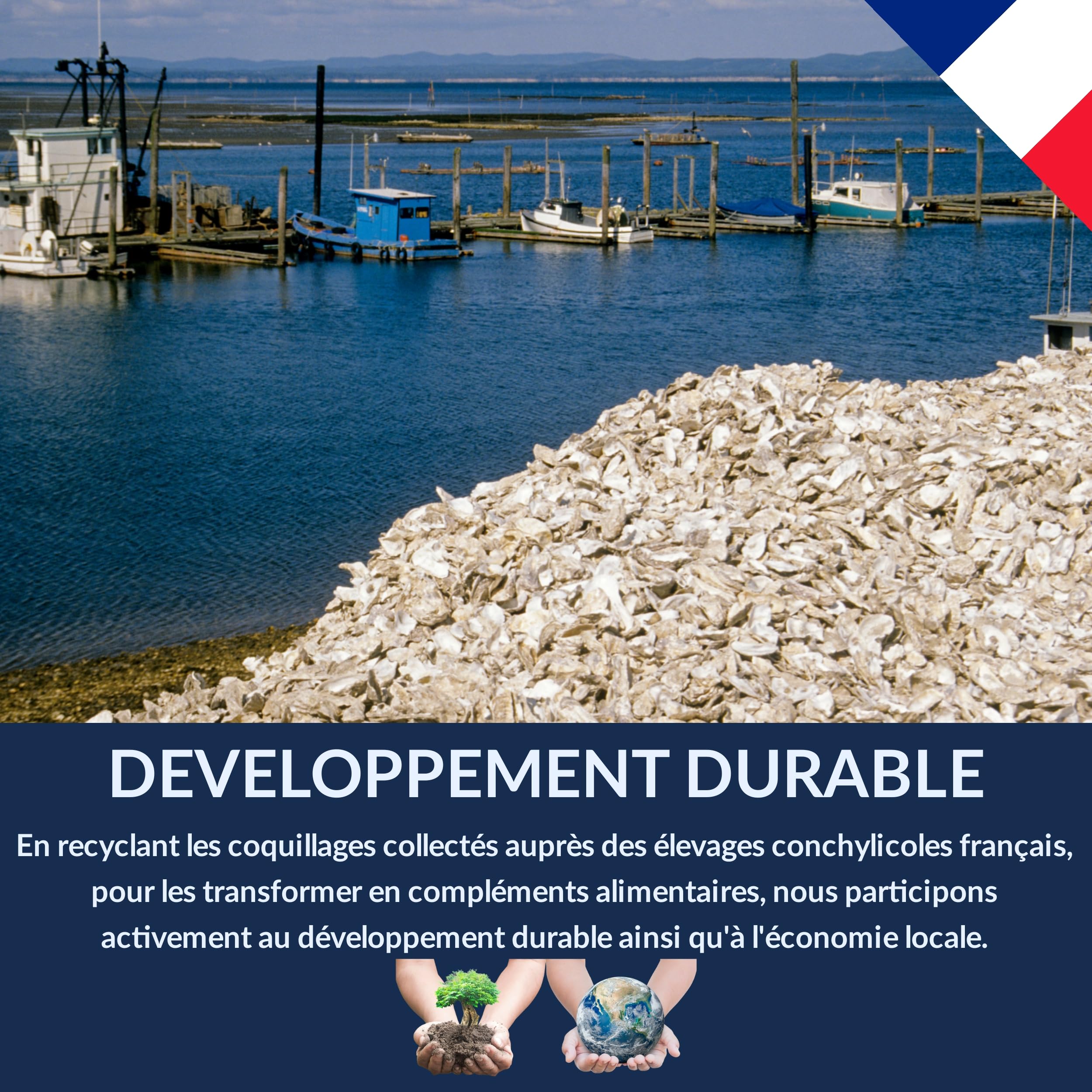 Chick'N Deluxe Calcium Booster 4Kg Coquilles Huîtres Poules Pondeuses