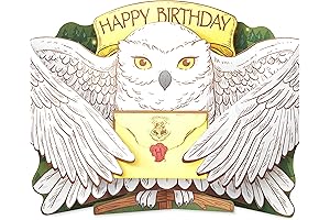 Enchant Your Birthday with the Magic of Harry Potter Pop Up Card