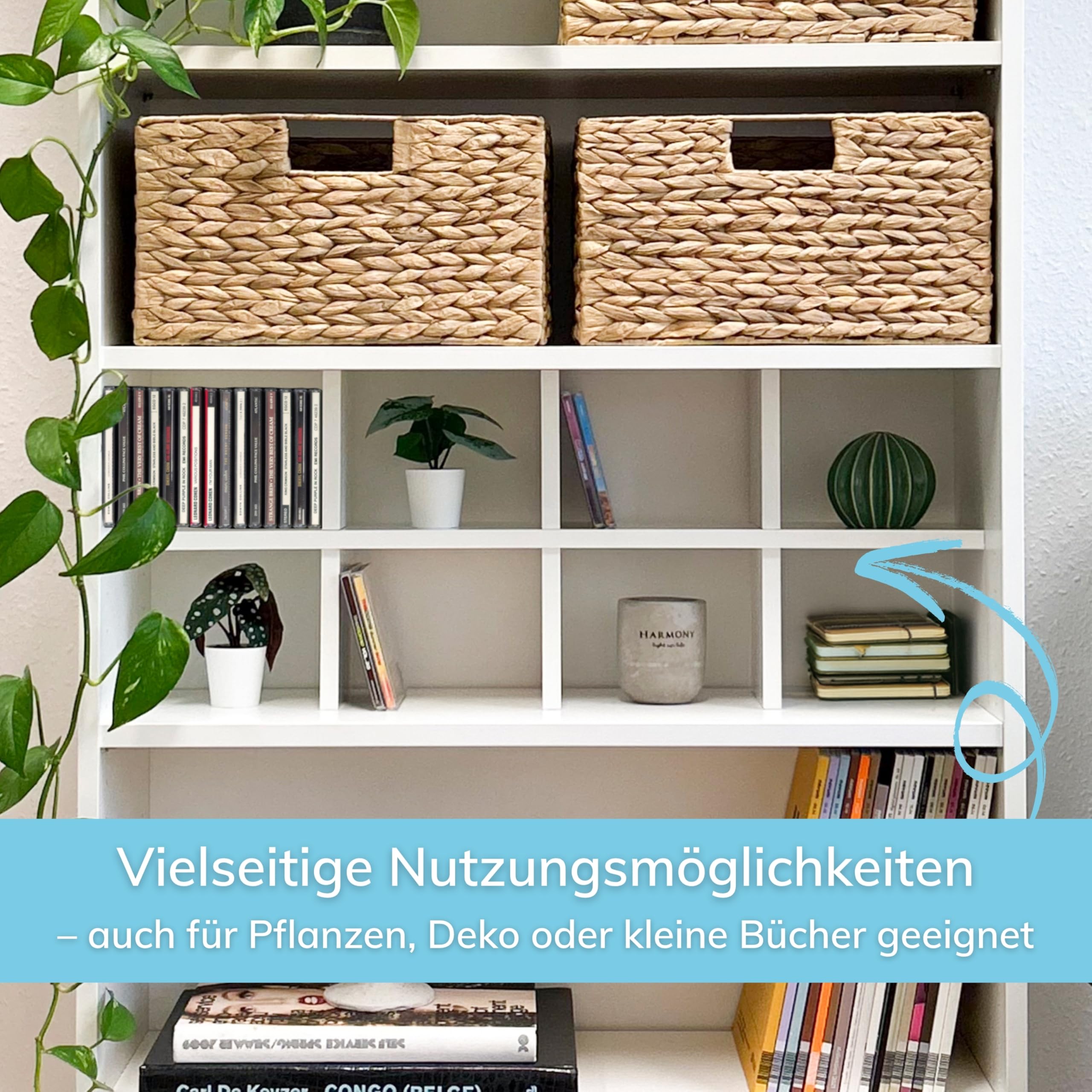 Superelch Billy Regal CD Einsatz | CD Fach | Regalkreuz, Fachteiler in Weiß | Bis zu 120 CDs pro Regalbrett | CD Storage