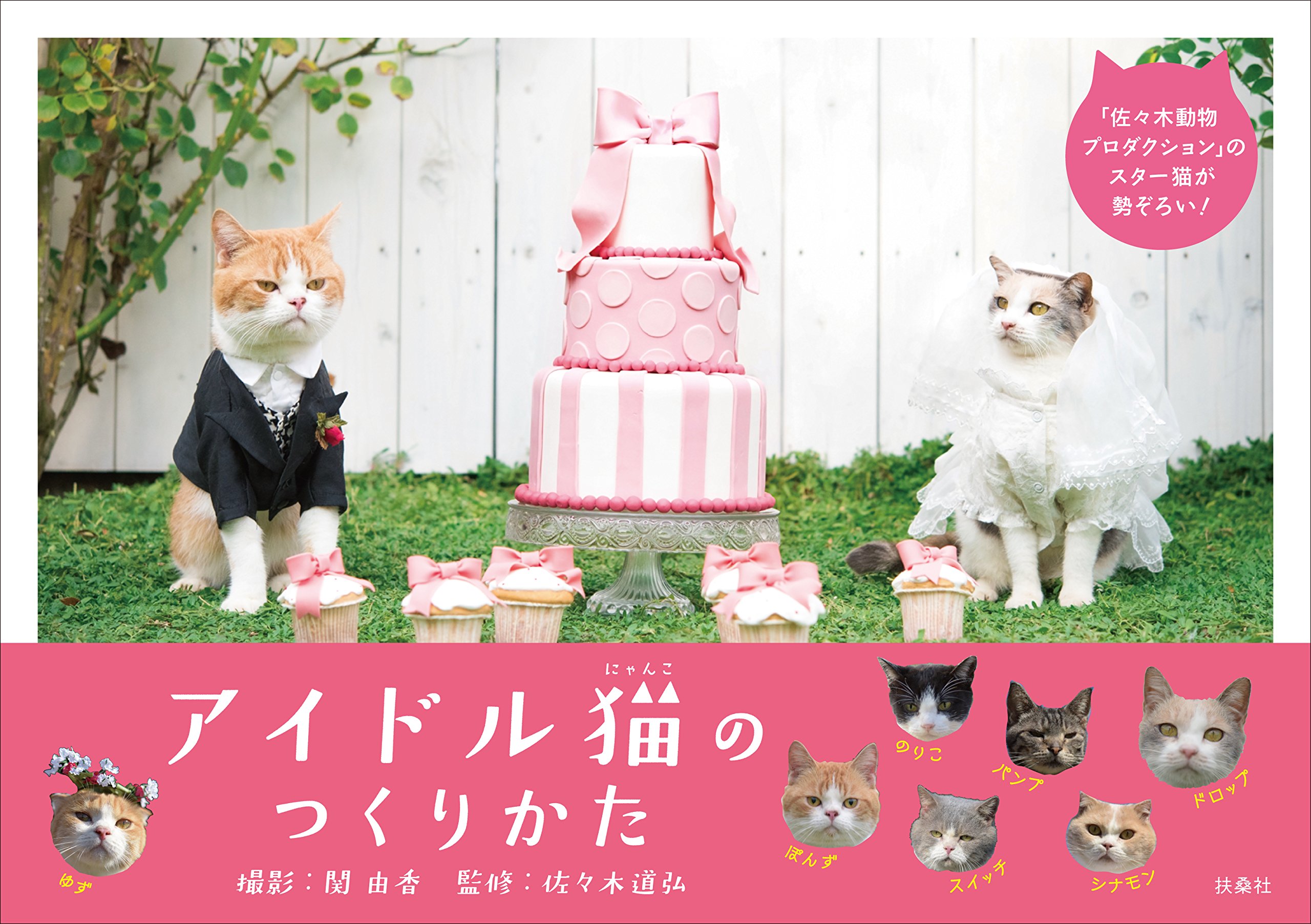 アイドル猫のつくりかた | 佐々木 道弘, 関 由香 |本 | 通販 | Amazon