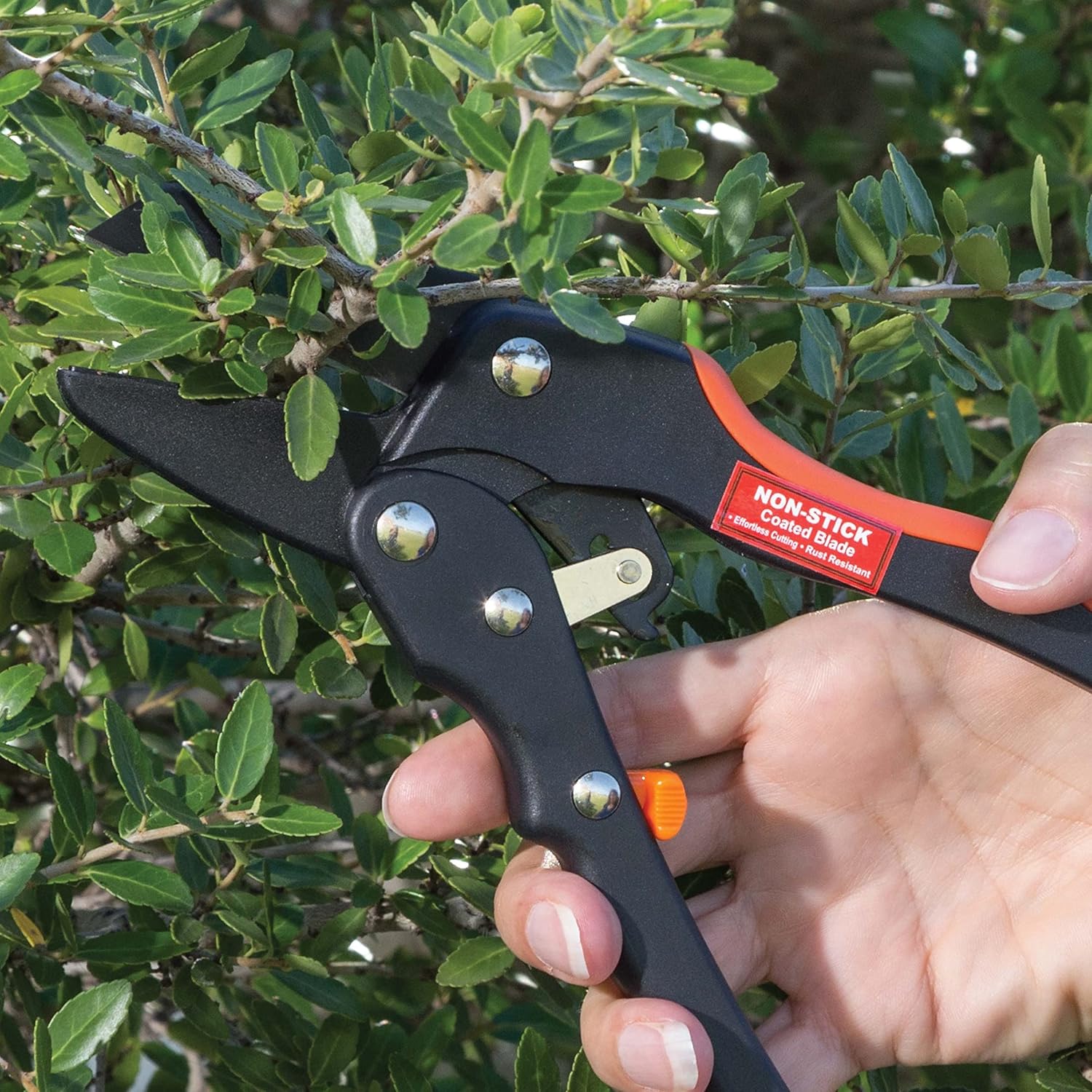 TIGER JAW P2 Hand Pruner Anvil Ratcheting Hand Pruner, Medium to Large Hands, Cuts Up To 3/4” in / 19mm