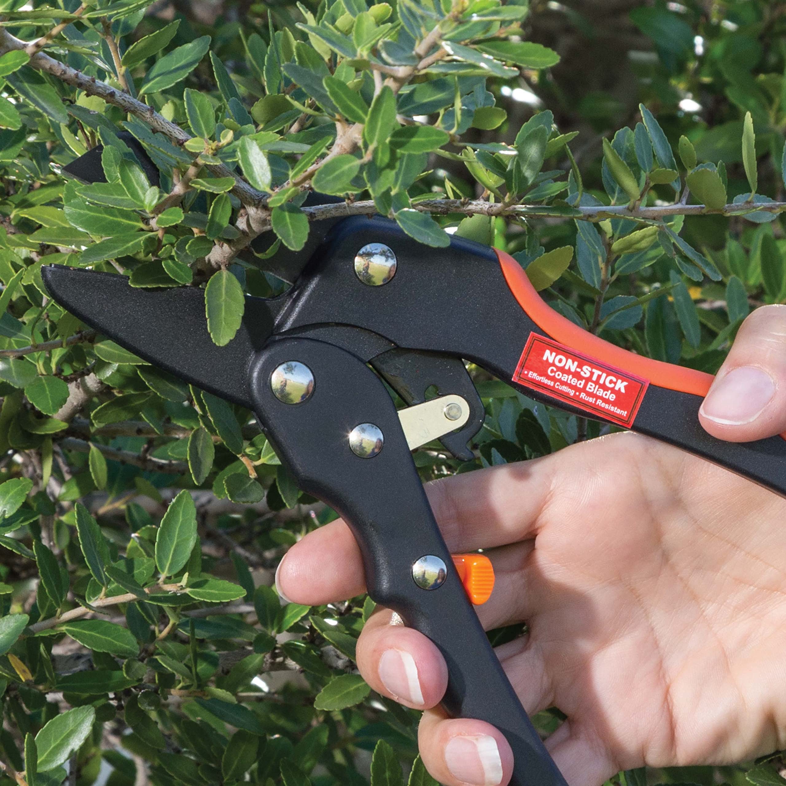 TIGER JAW P2 Hand Pruner Anvil Ratcheting Hand Pruner, Medium to Large Hands, Cuts Up To 3/4” in / 19mm