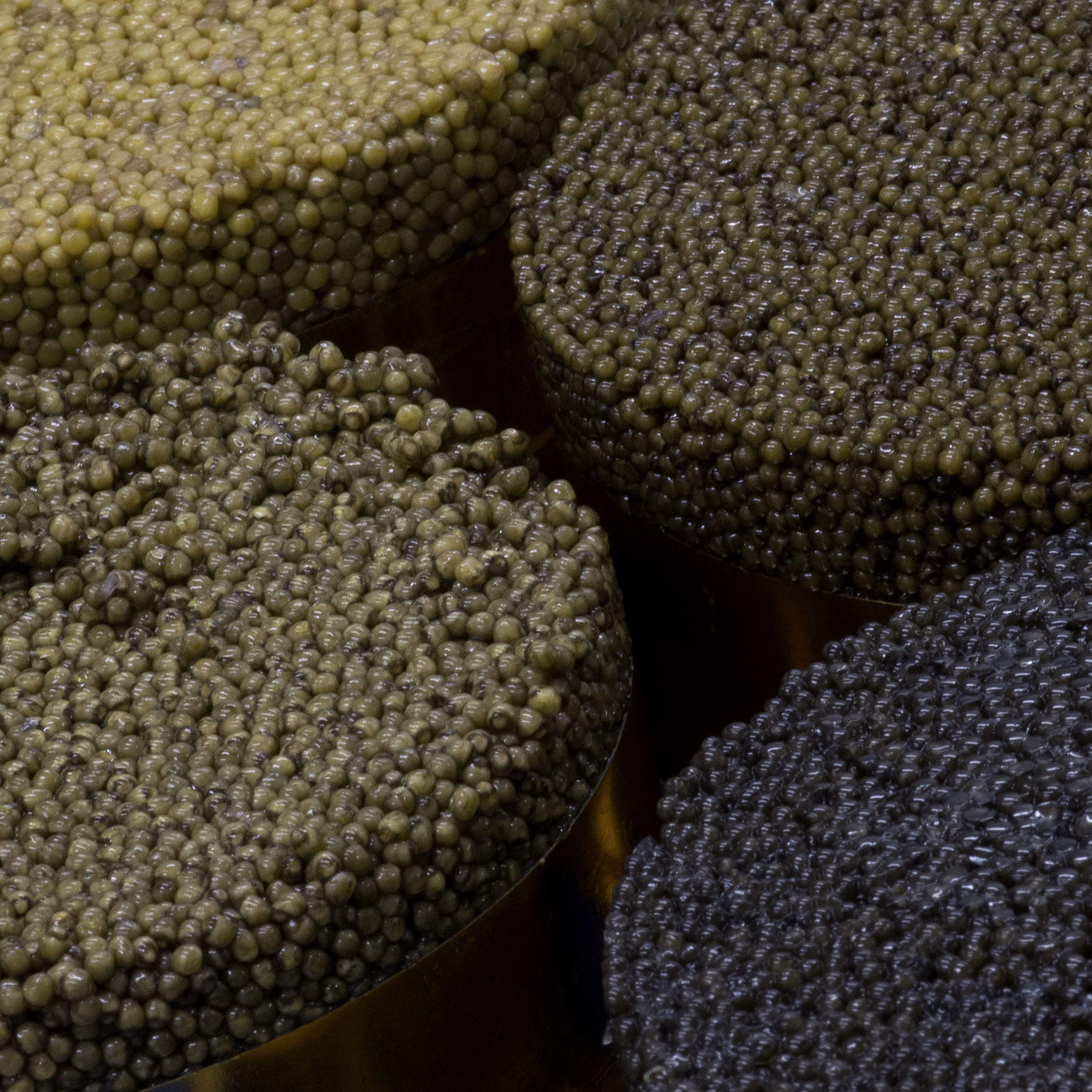 Caviar Baeri Francés 250g - Origen Francia - Acipenser Baerii - Entrega Refrigerada - CAVIAR AMBASSADE