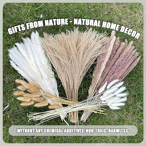 Miniatura 5 de Hierba de las Pampas Boho Decoración para el Hogar, 150 piezas de 17 pulgadas de flores secas naturales, hierba de pampa contiene colas de conejo,