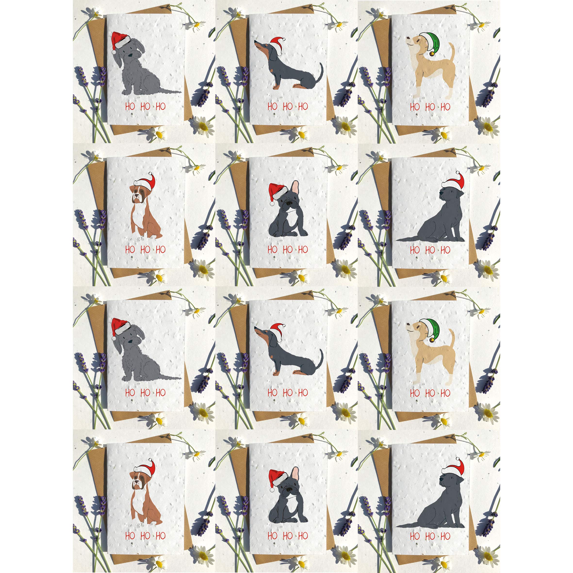 Biodegradable seed paper Christmas festive plantable season greetings card traditional Black chihuahua (Pack of 12)