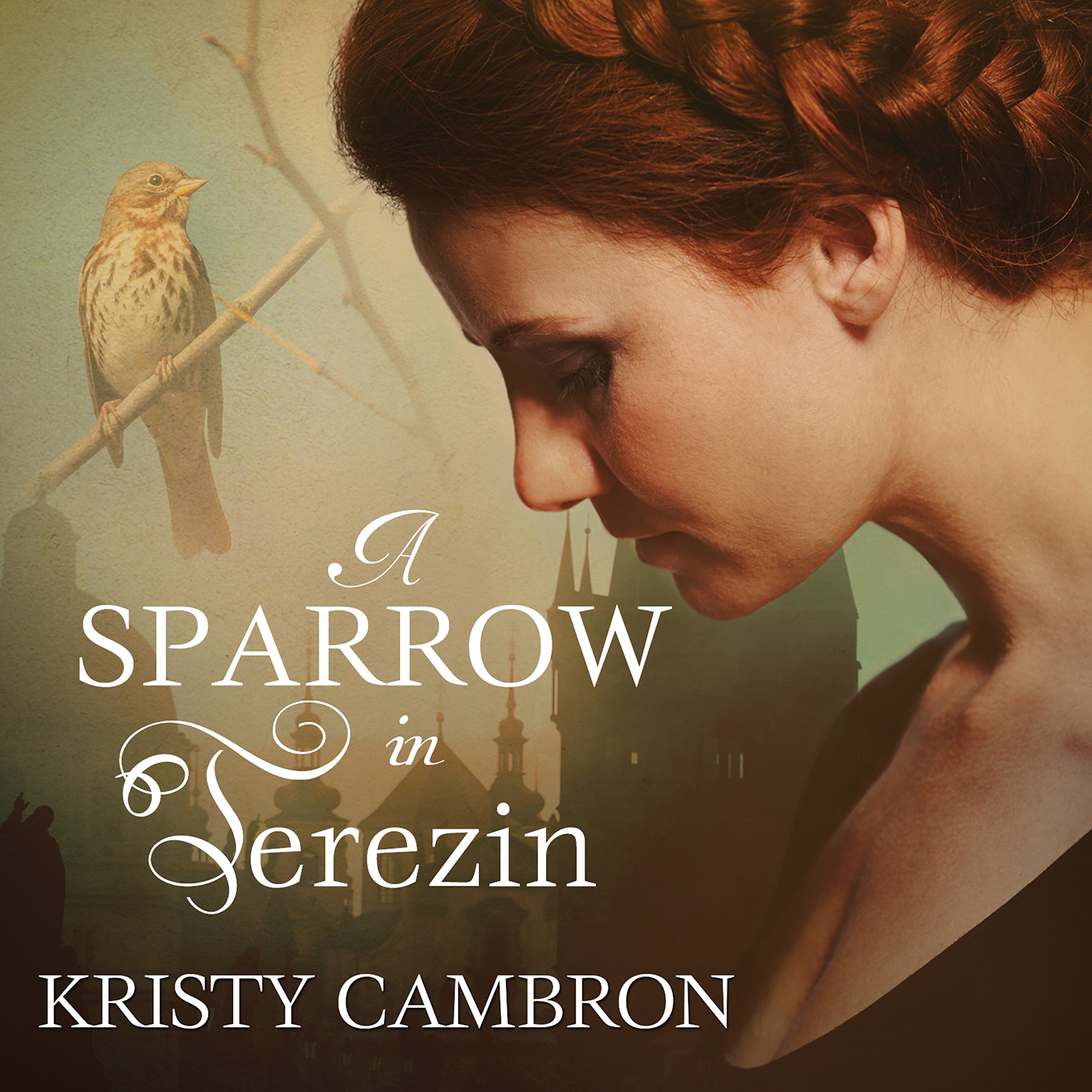 Cover art for A Sparrow in Terezin