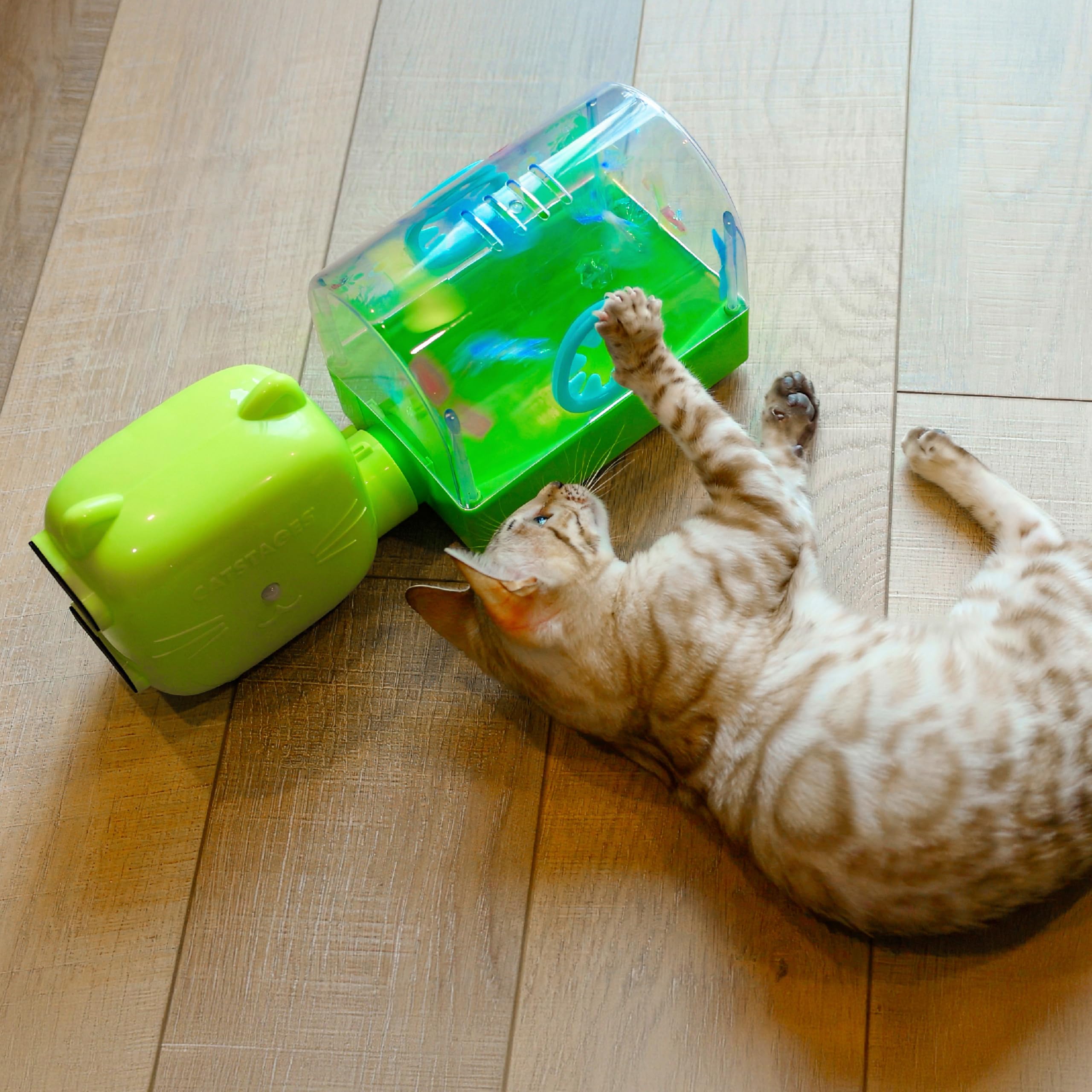 Catstages Juego de Pistola de Aire 2 en 1, Juguete para Gatos, 2 Juguetes Intercambiables, terrario y Cactus bailarín, 1 Ventilador Que Funciona con Pilas