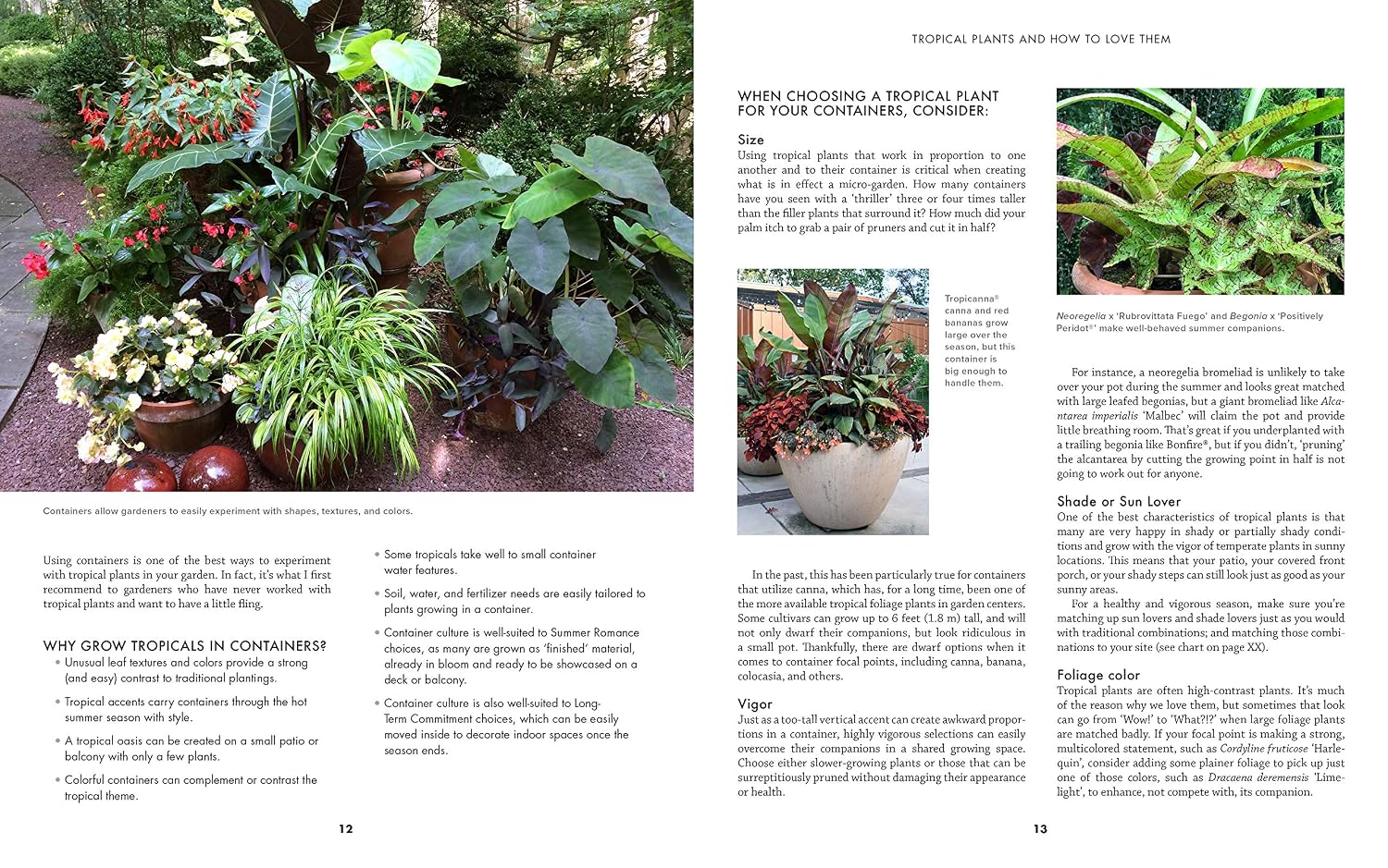 Tropical Plants and How to Love Them: Building a Relationship with Heat-Loving Plants When You Don't Live In The Tropics - Angel’s Trumpets – ... – Gingers – Hibiscus – Canna Lilies and More!