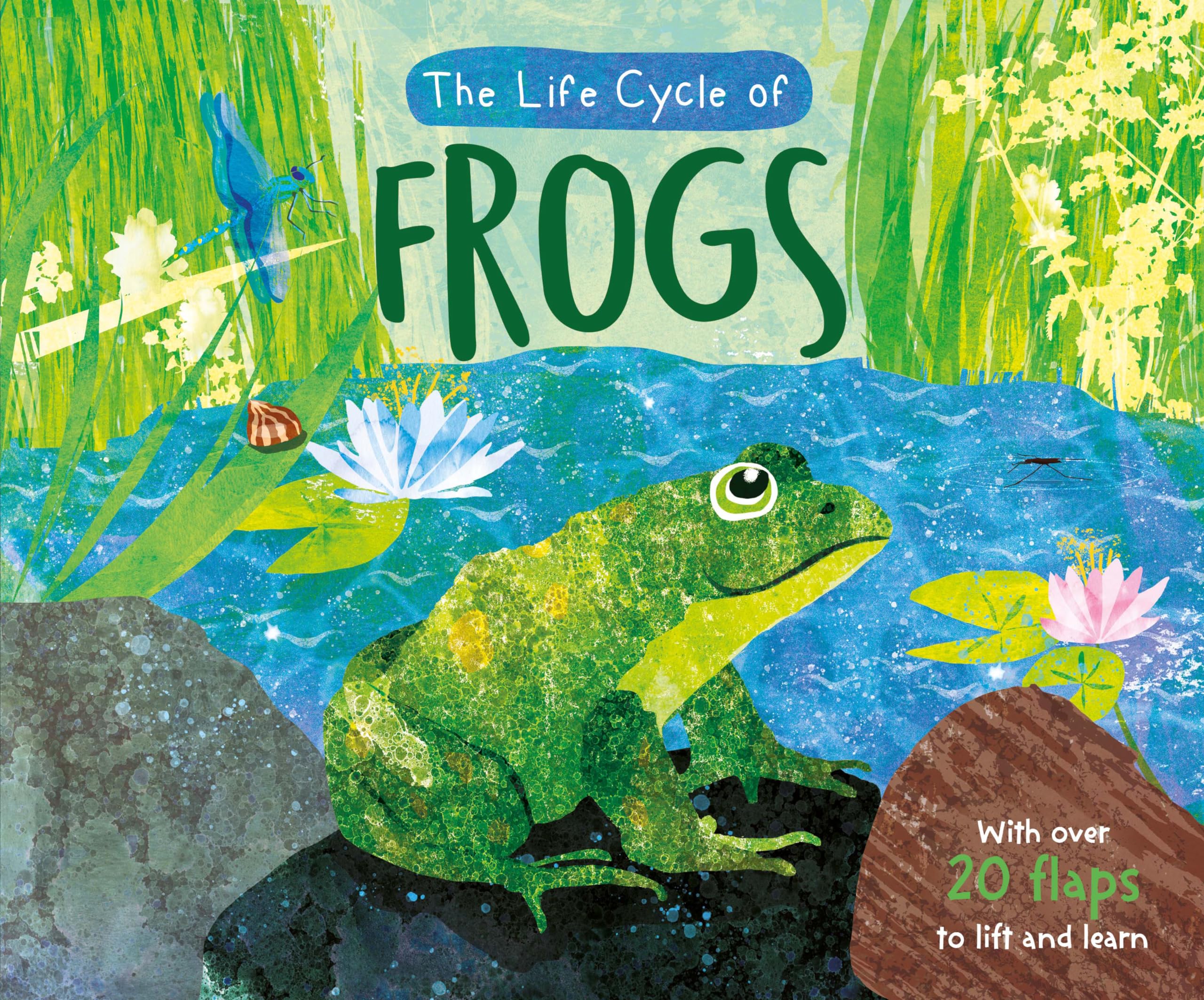 The Life Cycle of Frogs (Life Cycle Board Book)