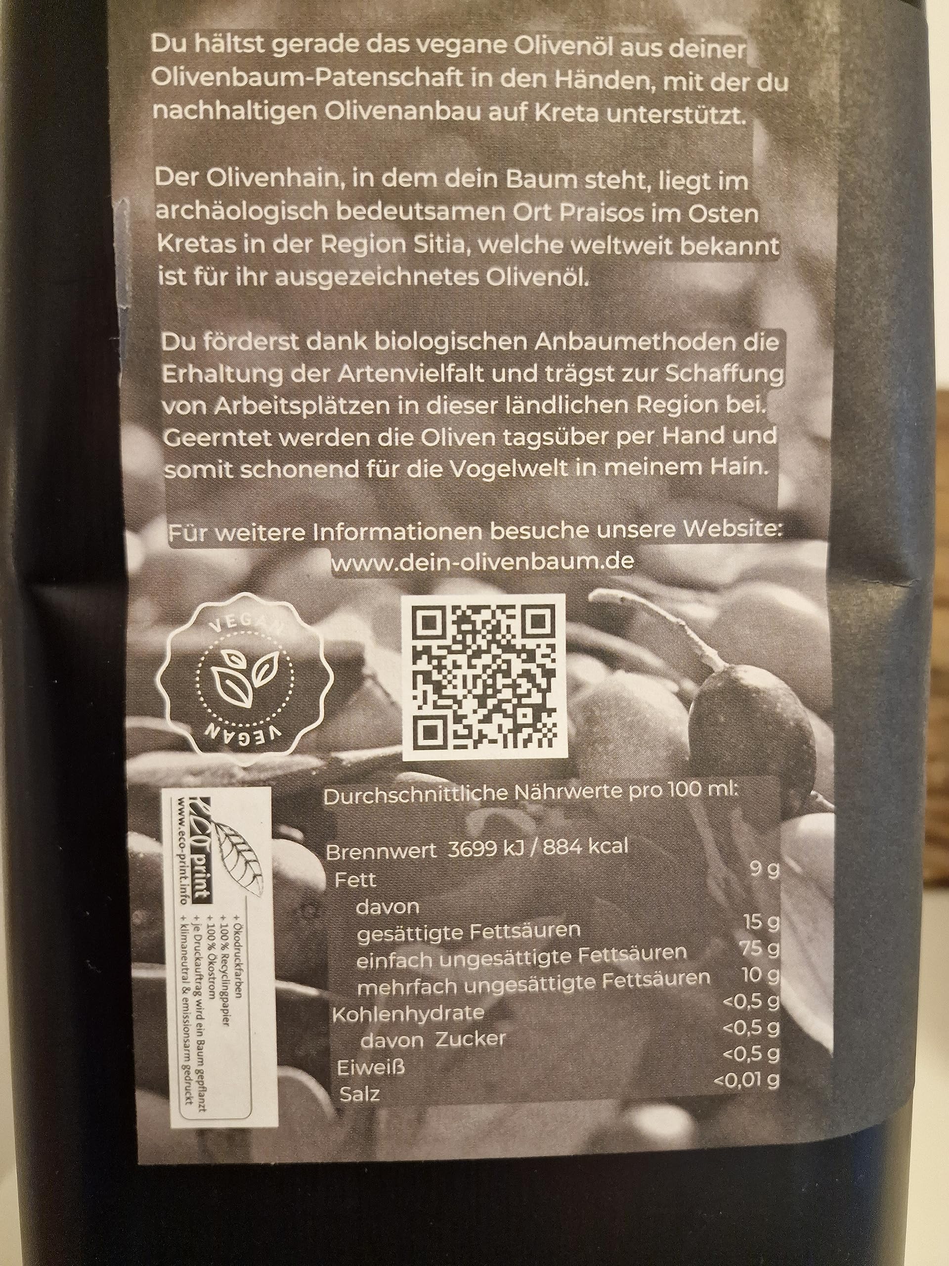wie pflege ich meinen olivenbaum Der Olivenbaum Guide von Kauf bis Pflege main image 1