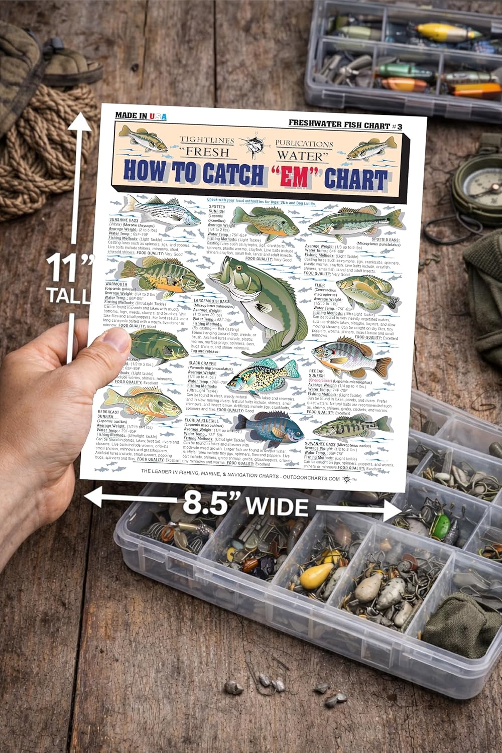 Freshwater Fish Identification Chart Set - Waterproof Quick Reference Fishing Guide - 80+ Fish Species ID - (US, Canada, and Alaska) - Double-Sided & Easy to Read - Great Gift for Beginners