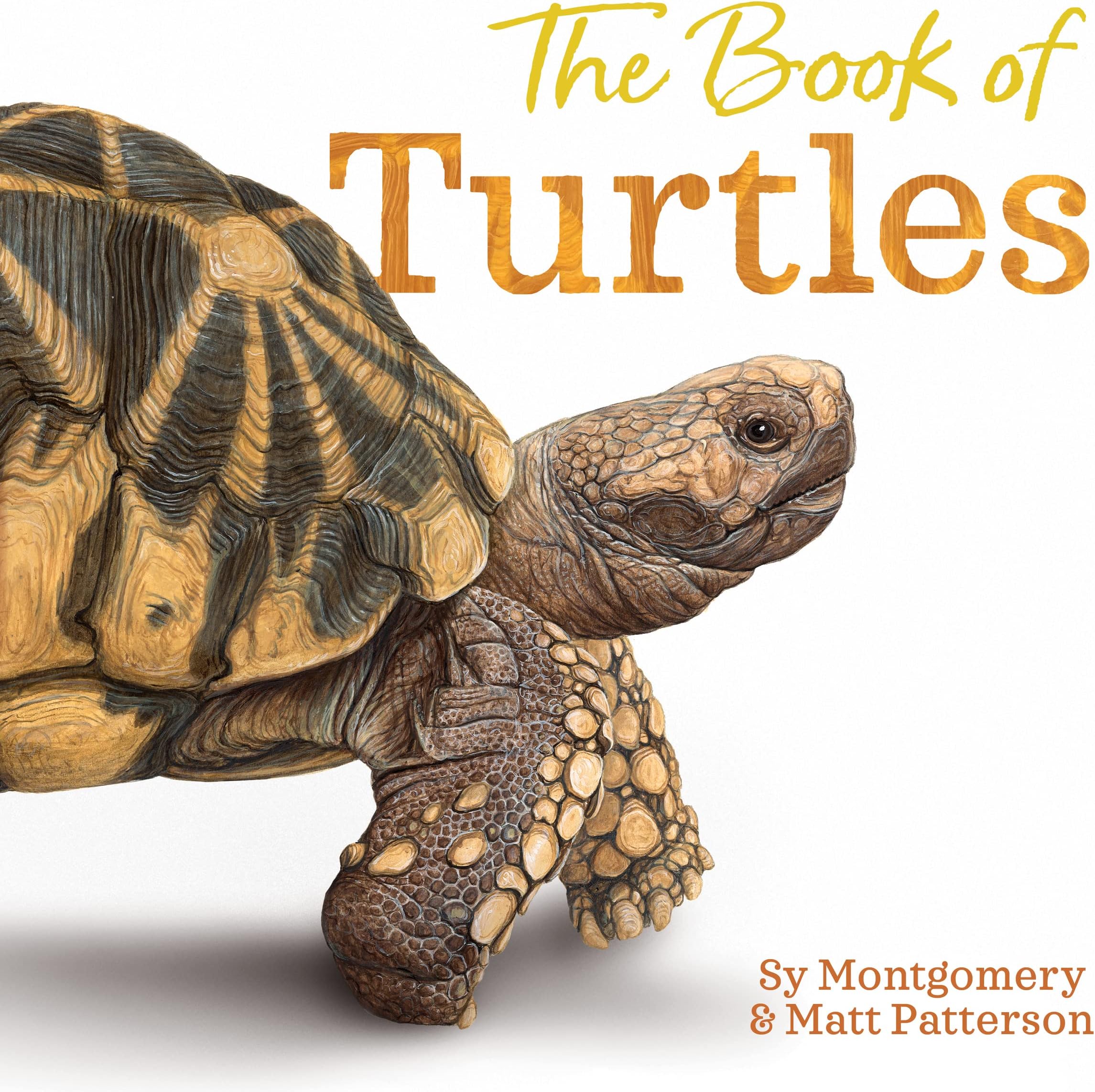 The Book of Turtles