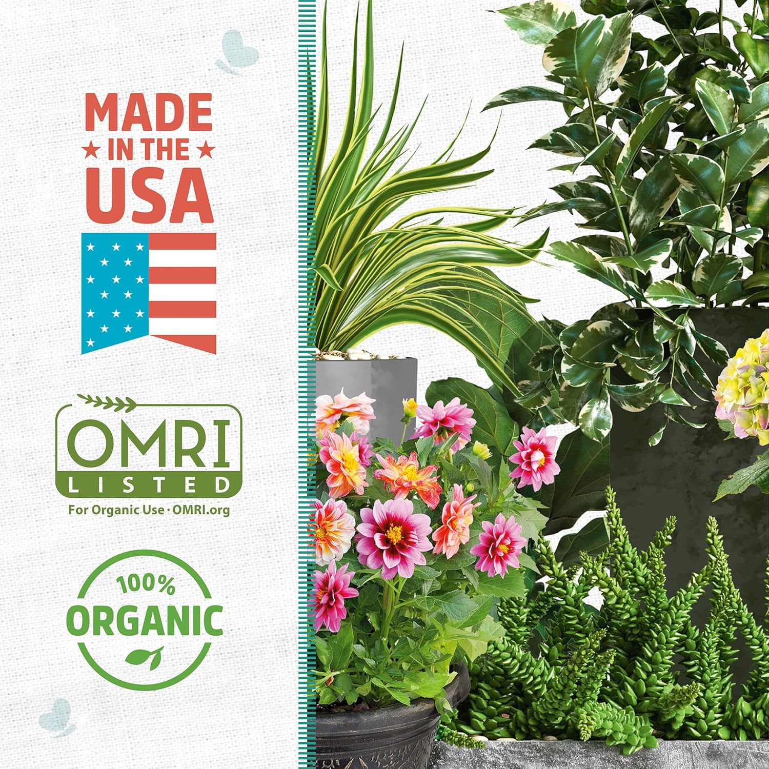 Back to The Roots 100% Organic Perlite | Made in The USA | Premium Nutrition for Indoor and Outdoor Plants Perlite 8qt