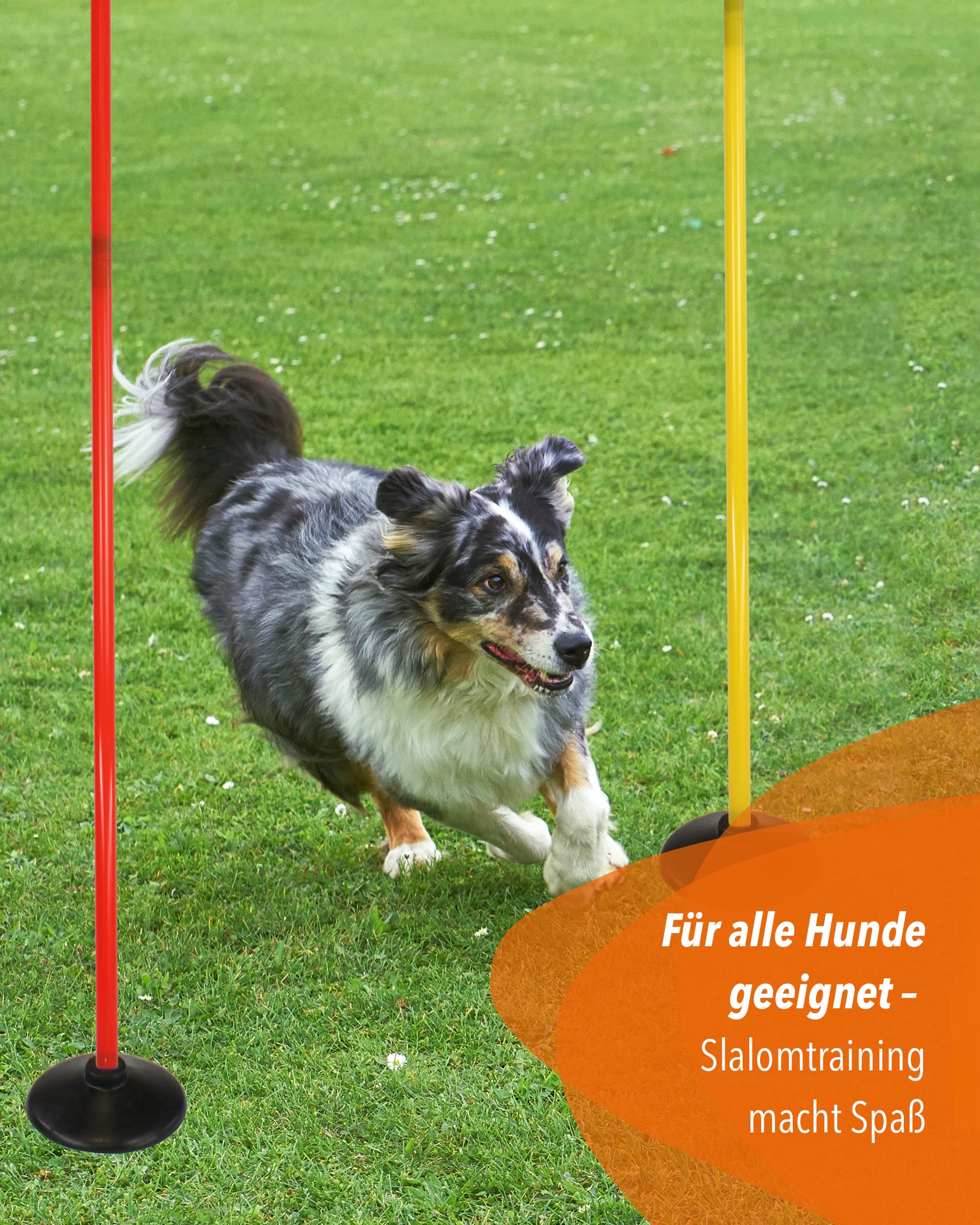 Kombi-Scheibenfuß aus Vollgummi & Slalomstange 180 cm – 4er Set – Rubber Base & Stange für Slalom & Koordinationstraining – für Fußball & Hundesport – Slalom-Set