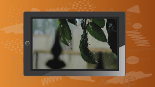 Quiet Nature Rainforest Sleep Music Harmony for Fire TV – vue 7
