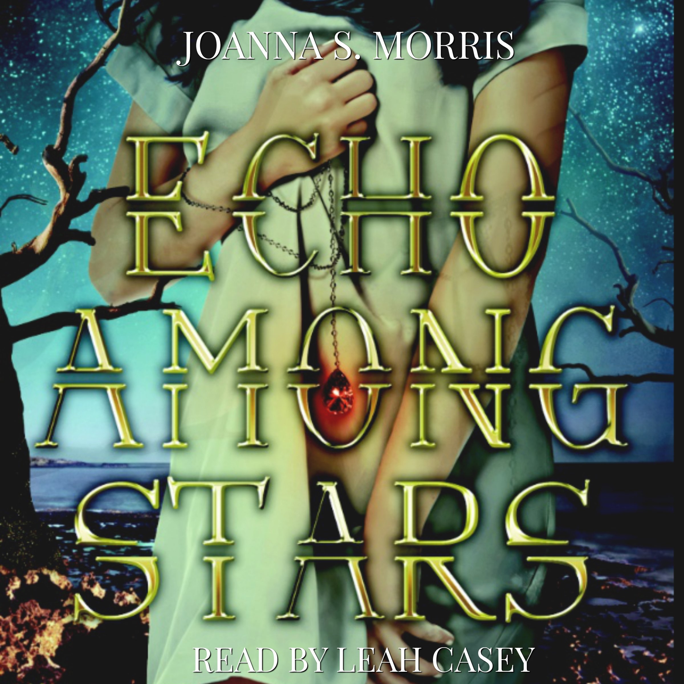 Cover art for Echo Among Stars