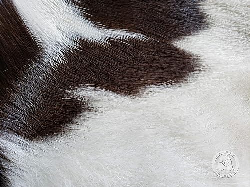 Miniatura 9 de Sunshine Cowhides Alfombra de piel de vacuno marrón y blanca con piel de vaca, 3 x 3 pies