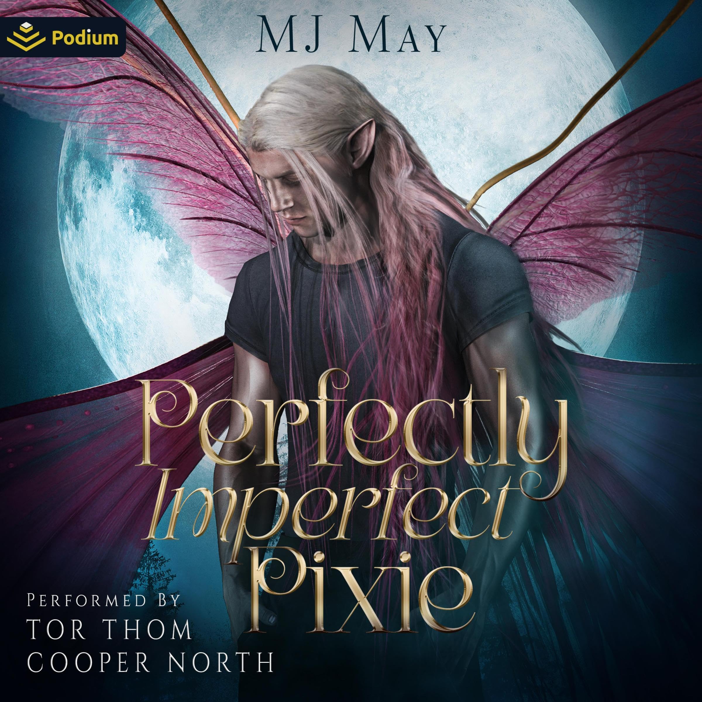 Cover art for Perfectly Imperfect Pixie