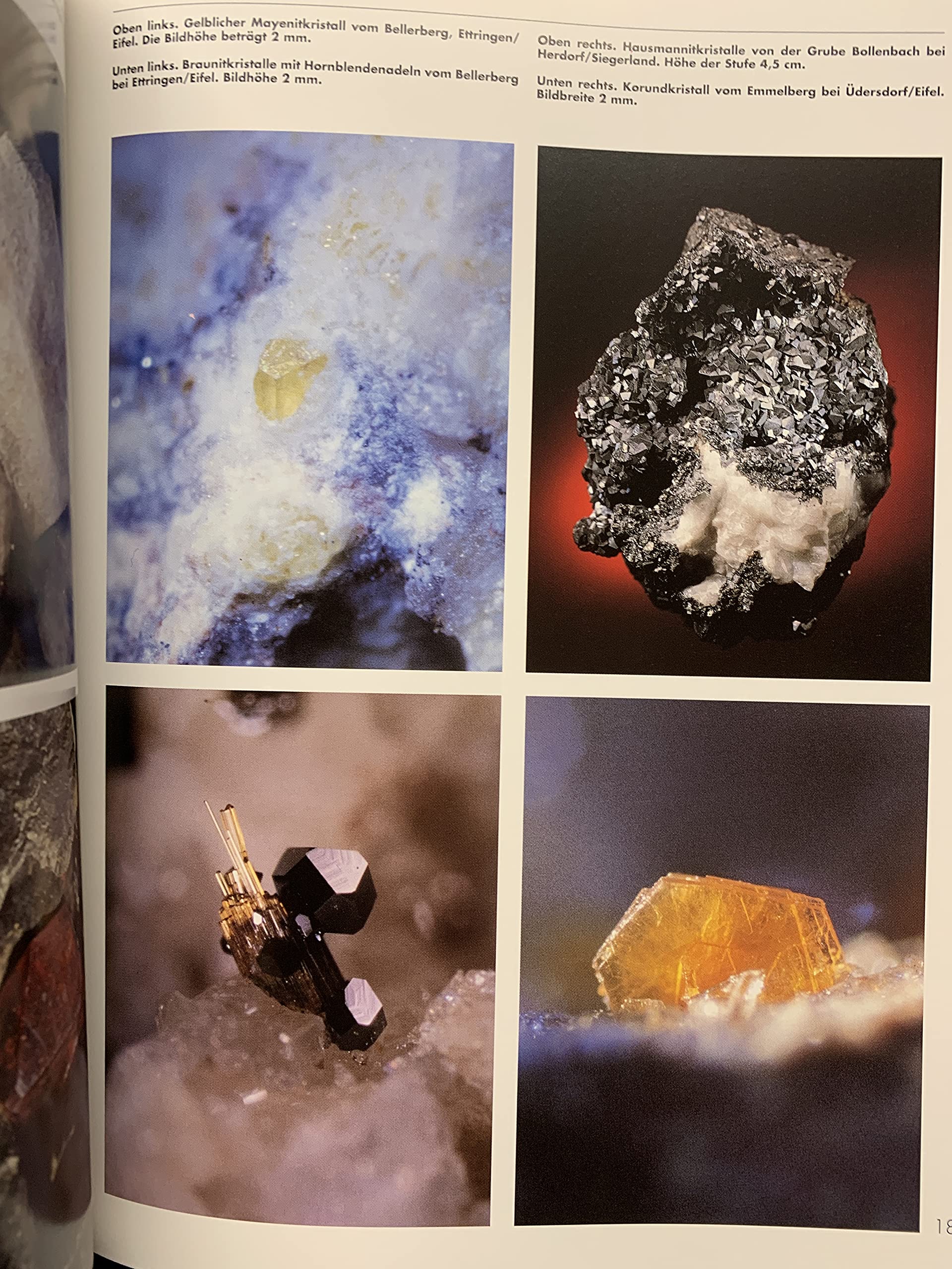Mineralien und Fundstellen in der Bundesrepublik Deutschland: 1000 Mineralien - 500 Fundstellen