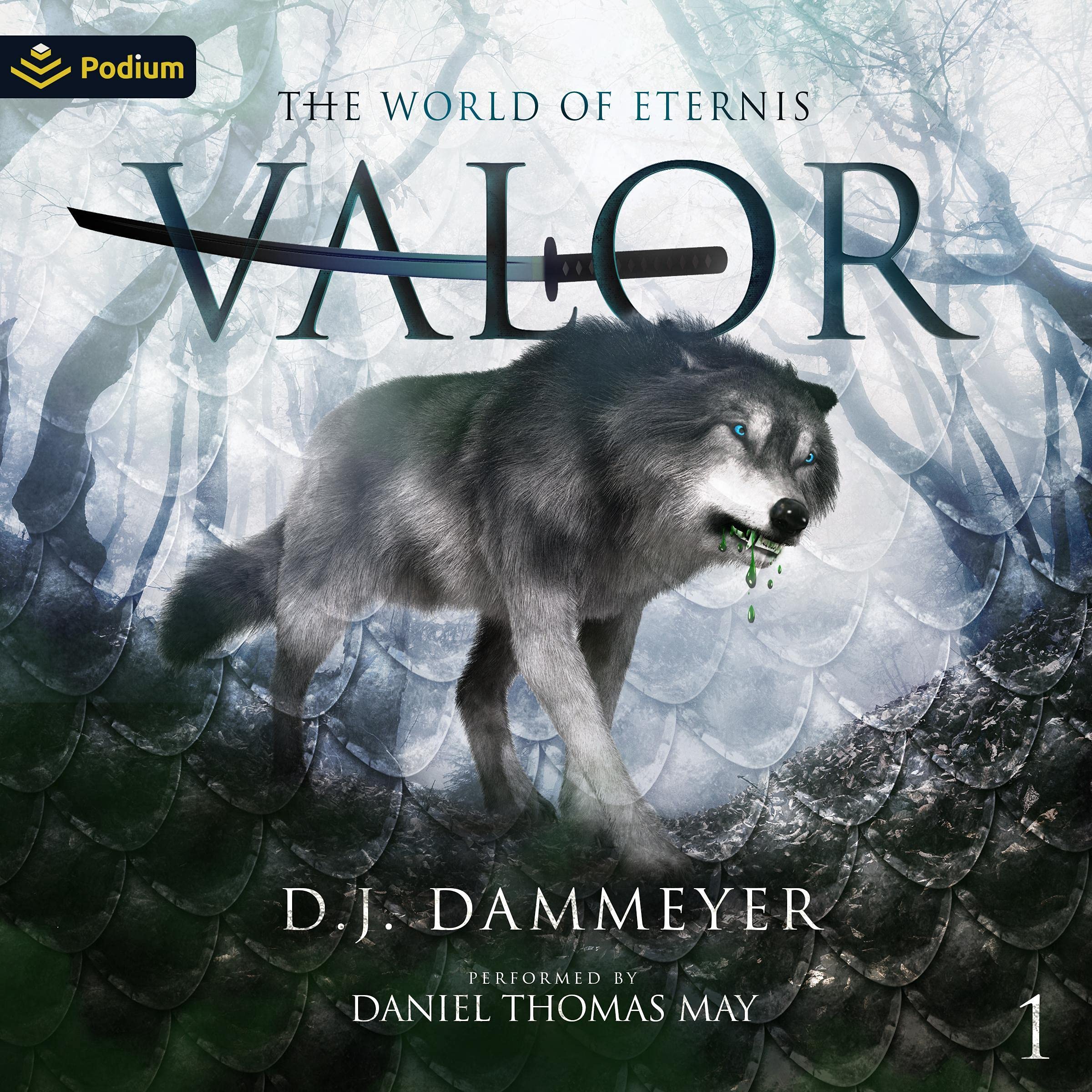 Cover art for Valor