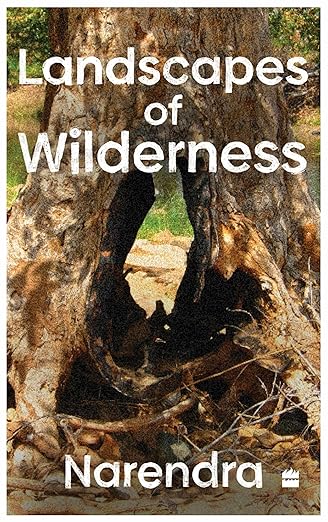 LANDSCAPES OF WILDERNESS