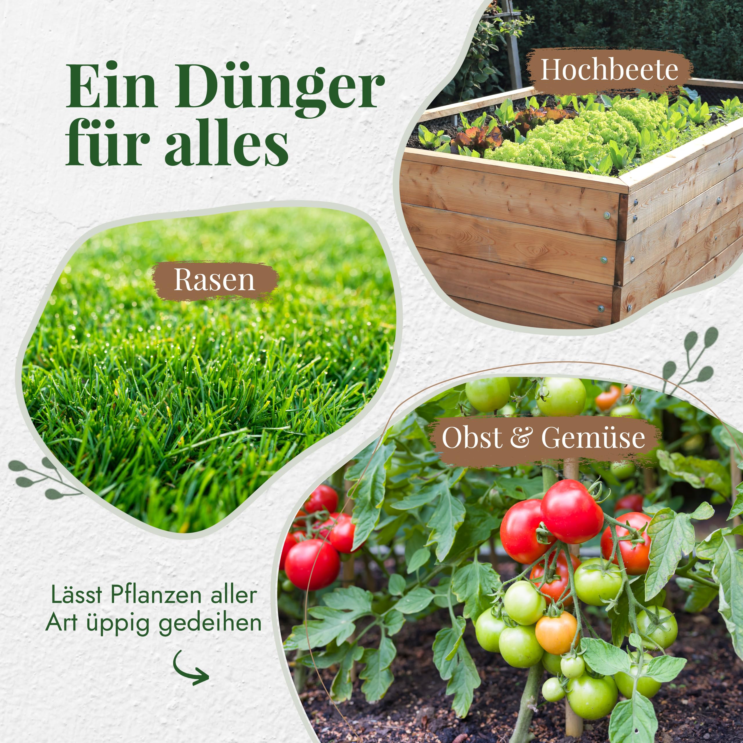 Bio Bodenaktivator & Rasendünger fein [17 kg/130-170 m²] für Pflanzen & Gemüse, Bodenverbesserer Garten, Organischer Rasendünger Frühjahr, Verdrängt Moos, Streuwagen geeignet