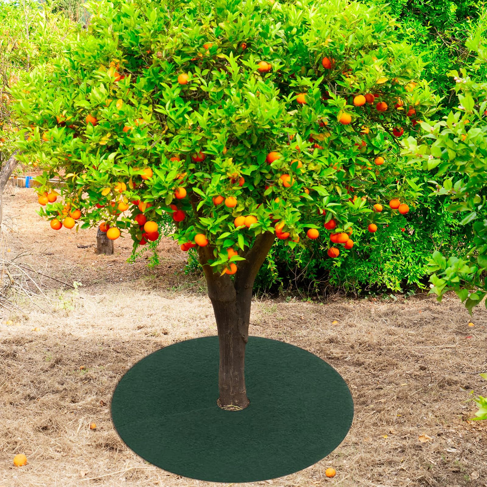 Tapis de Protection pour Arbres Anti-Herbes Diamètre 32cm 10 Pièces