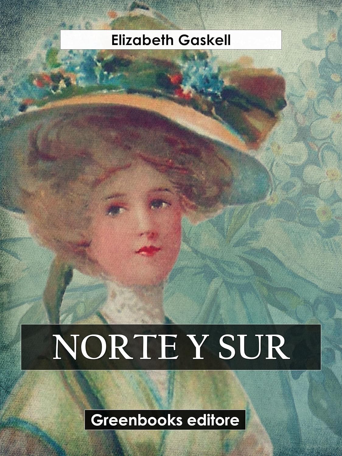 Norte y sur (Spanish Edition)      Kindle Edition
