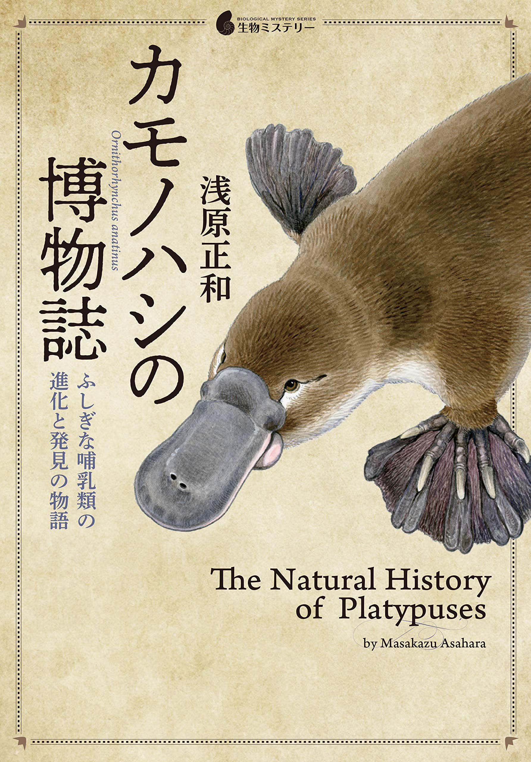 【カモノハシ太郎】 ぬいぐるみ カモノハシ S(BI25) | ニトリネット【公式】 家具