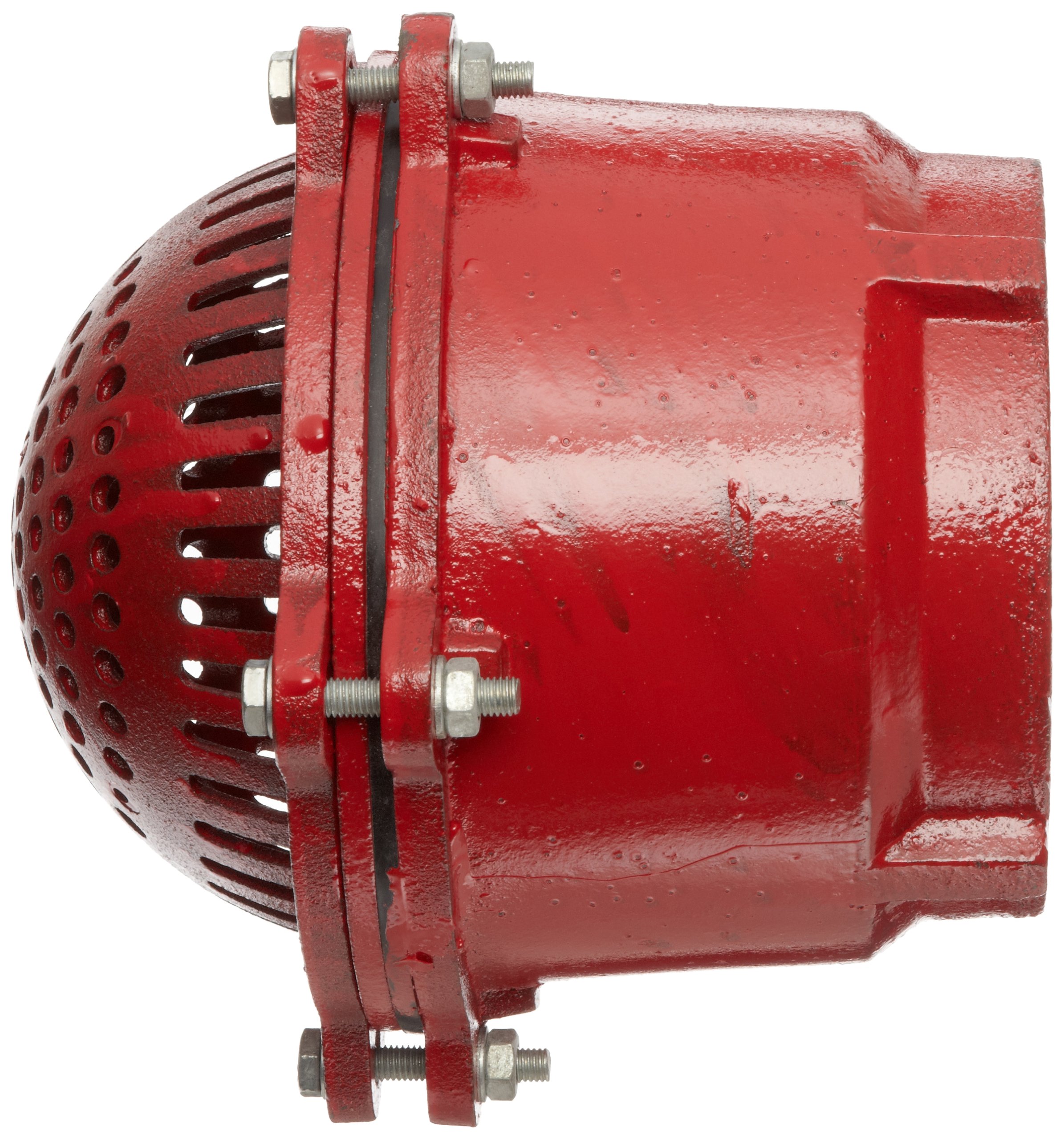 Dixon DFVS60 Painted Carbon Threaded Foot Valve Complete Assembly, 6