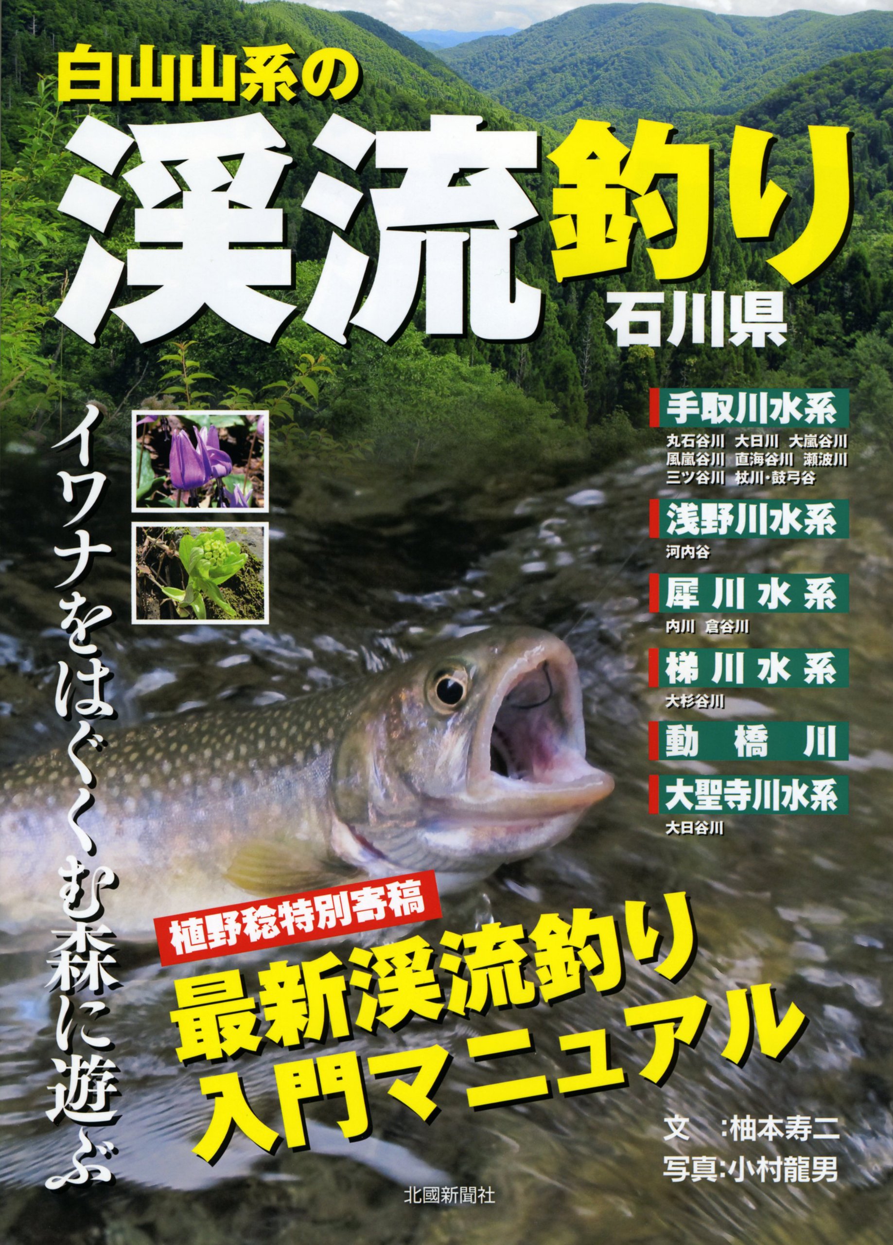 白山山系の渓流釣り・石川県―イワナをはぐくむ森に遊ぶ | 柚本 寿二