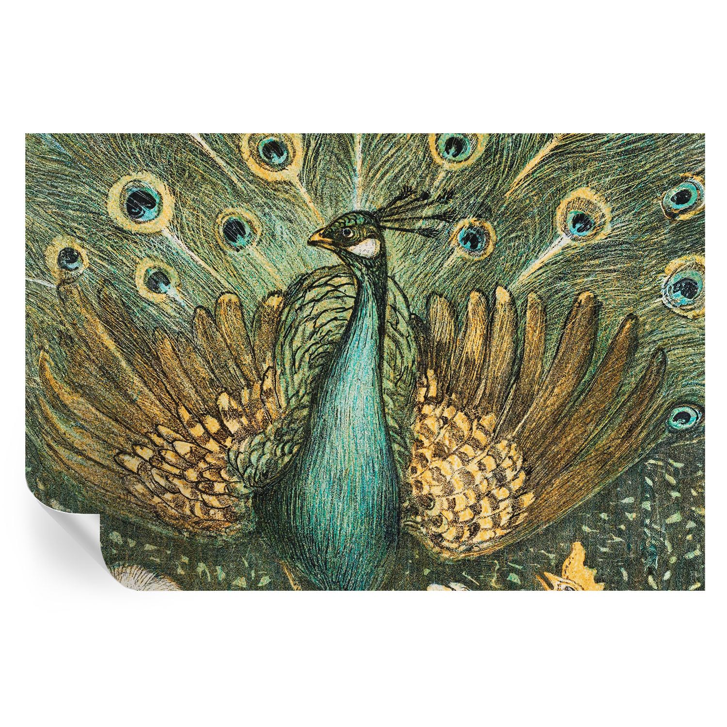 Mural de pavo real 104x70 cm para decorar pasillos estrechos y dar amplitud al hogar