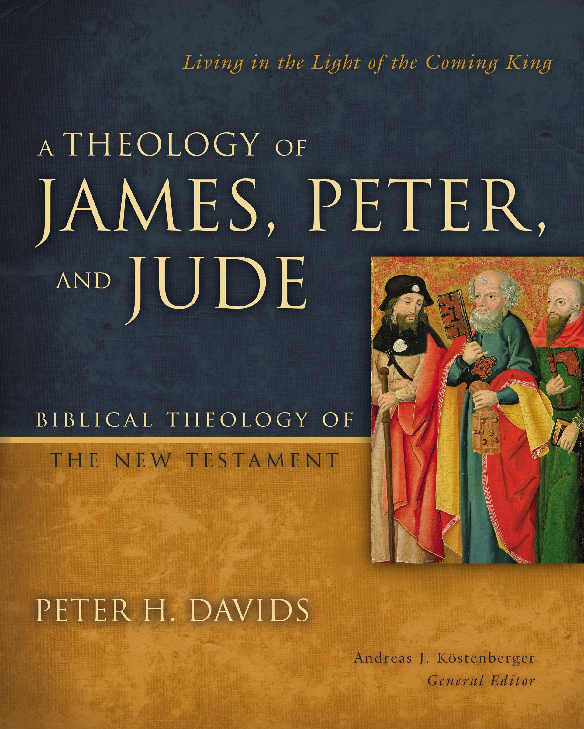 A Theology of James Peter and Jude by Peter H Davids HARDBACK 9780310291473