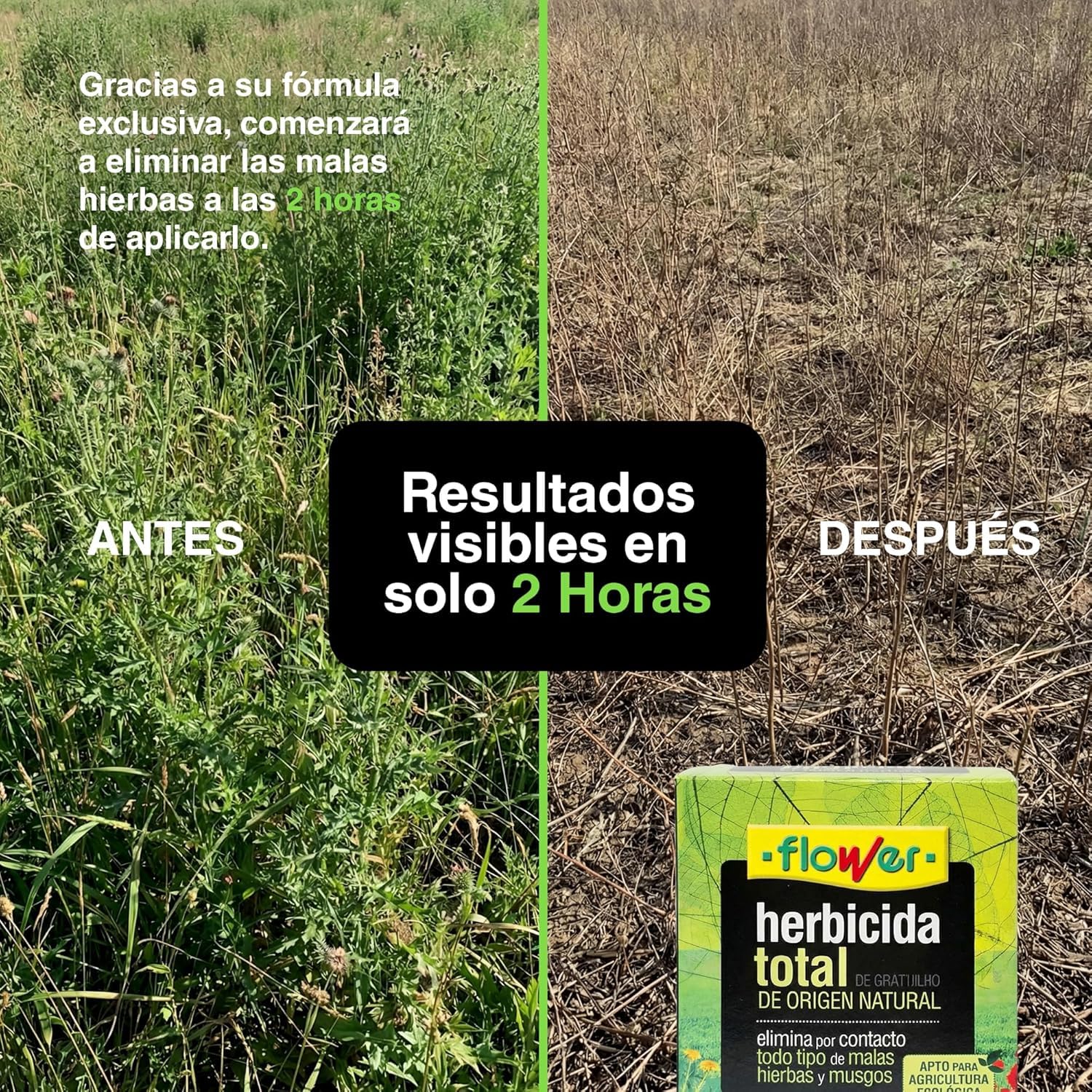 FLOWER x2 Herbicida Total Ecológico de Origen Natural para 300 m² | Elimina Malas Hierbas y Musgo de Acción Rápida | Alternativa Glifosato Súper Concentrado 500 ml para 10L | Resultados en 2H (2 UDS)