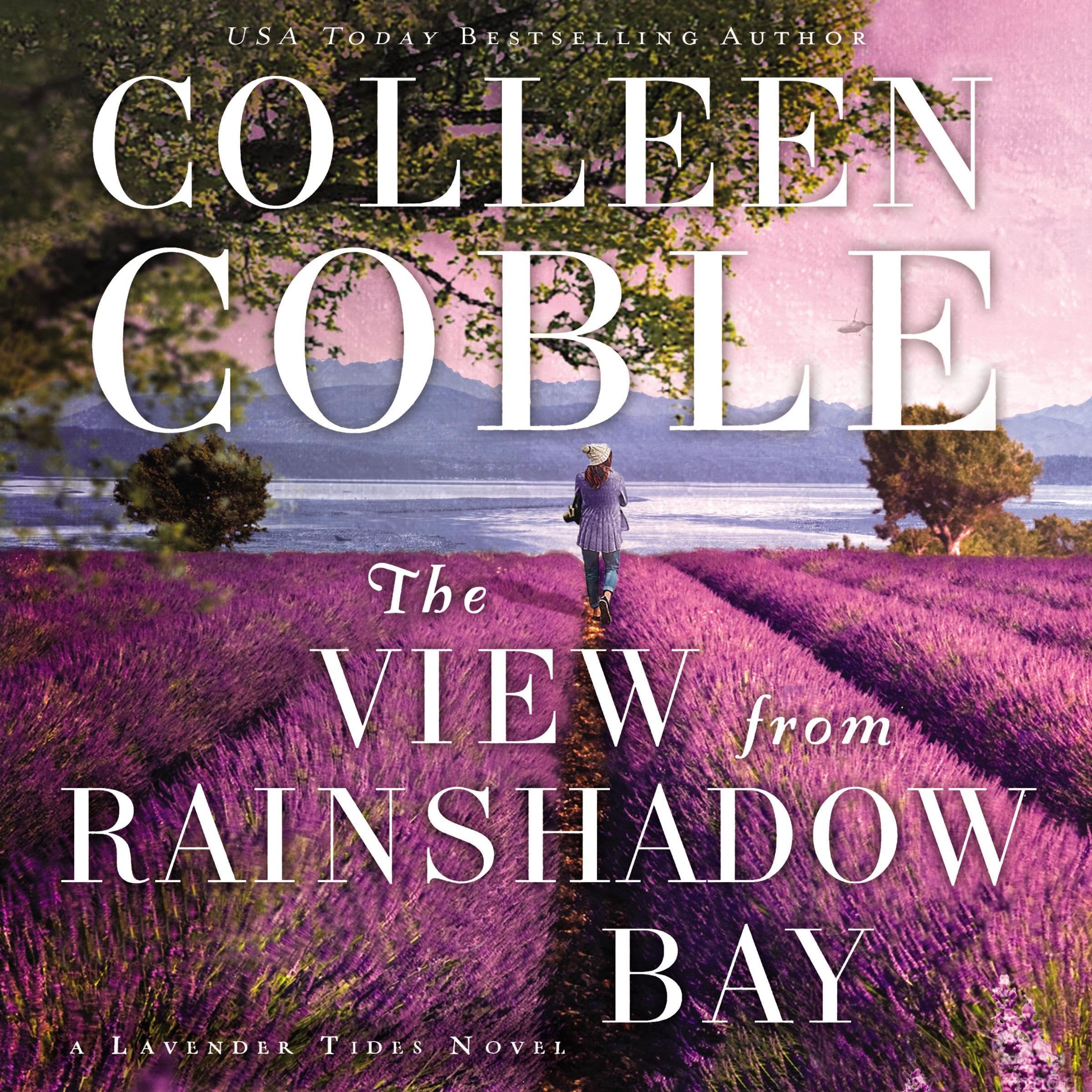 Cover art for The View from Rainshadow Bay