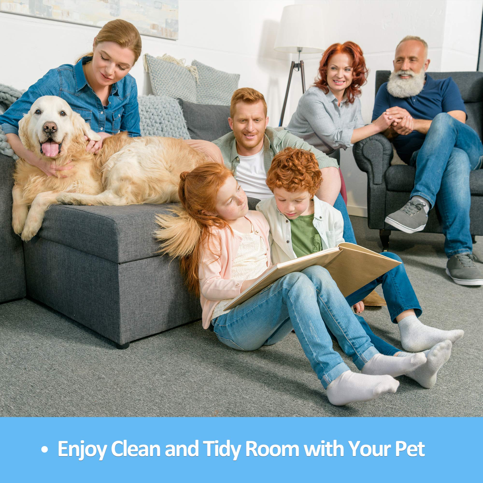 NOMINOMI Lint Rollers — Extra Sticky for Pet Hairs, with 10 Refills of