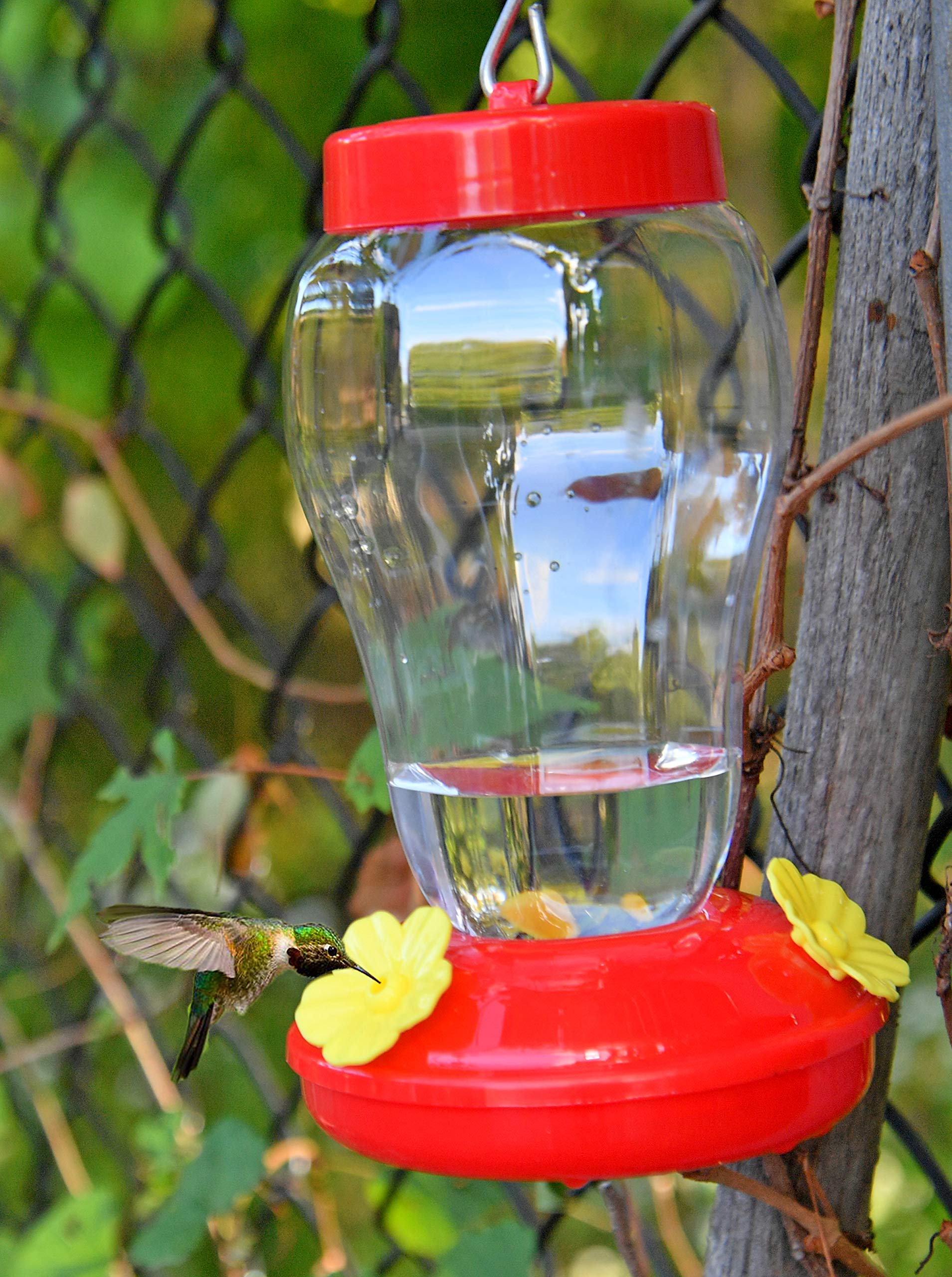 Auslar Kolibri-Futterspender 750 Ml – Violettes Glas, 5 Blumenfütterungsöffnungen, Ameisengraben, Rostfrei, Auslaufsicher