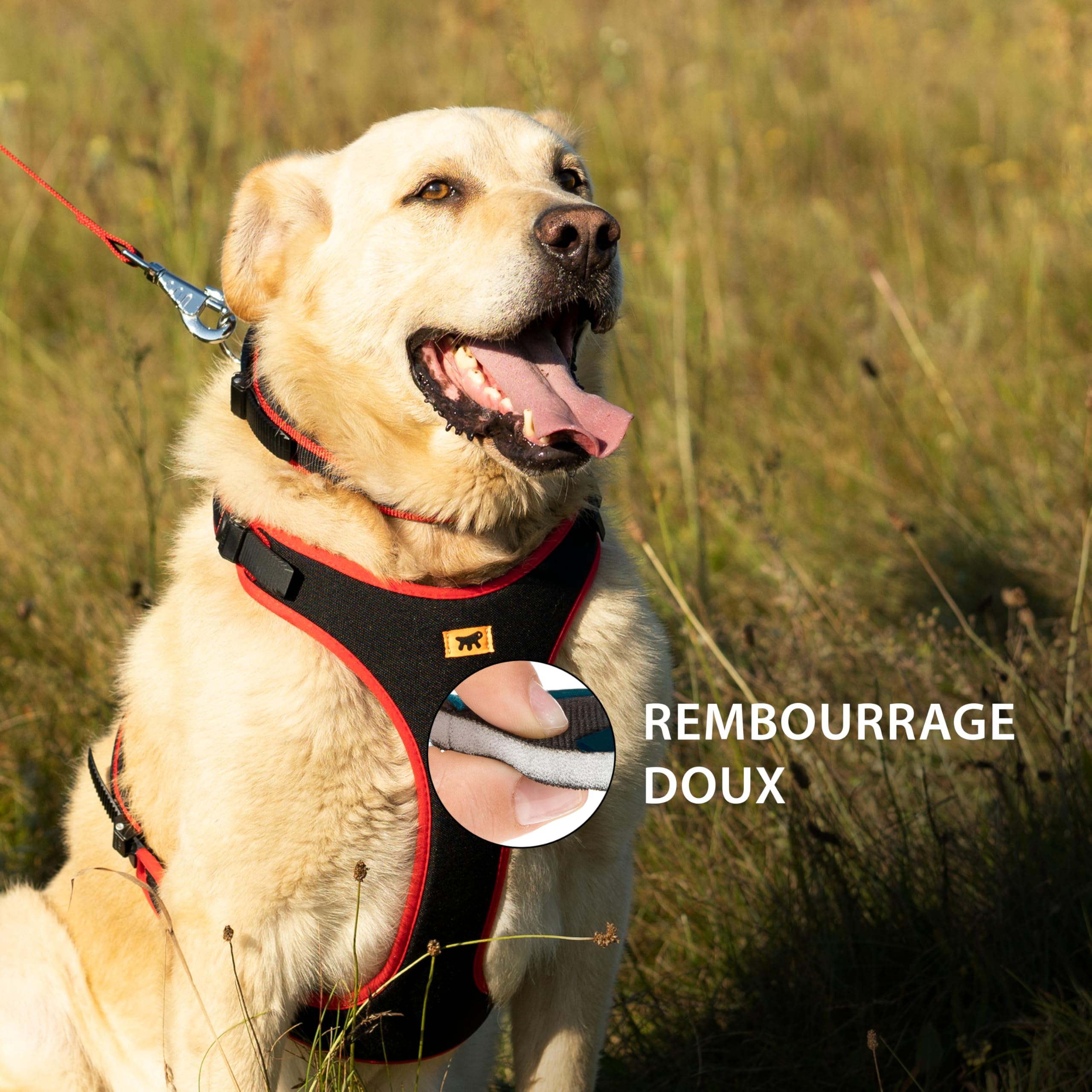 Ferplast Harnais pour Petit Chien ERGOCOMFORT, réglable, Confortable et rembourré, avec système d'attache et de détachement Rapide, Taille XS, Poids Max. 15 kg, Rouge.