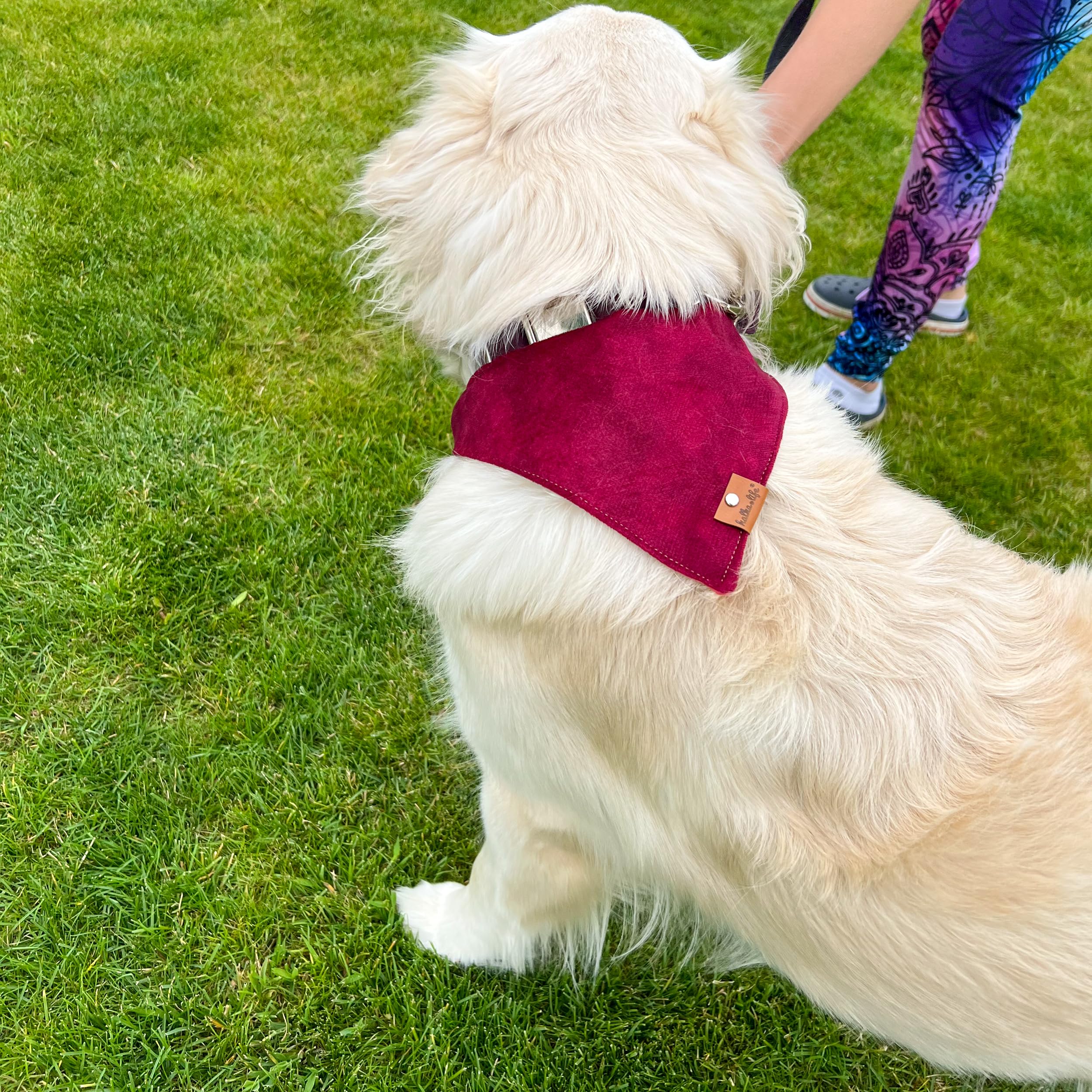 Bandana per cani con chiusura in metallo – collare regolabile per cani in morbido velluto, facile da pulire e confortevole (Ciliegia, L)