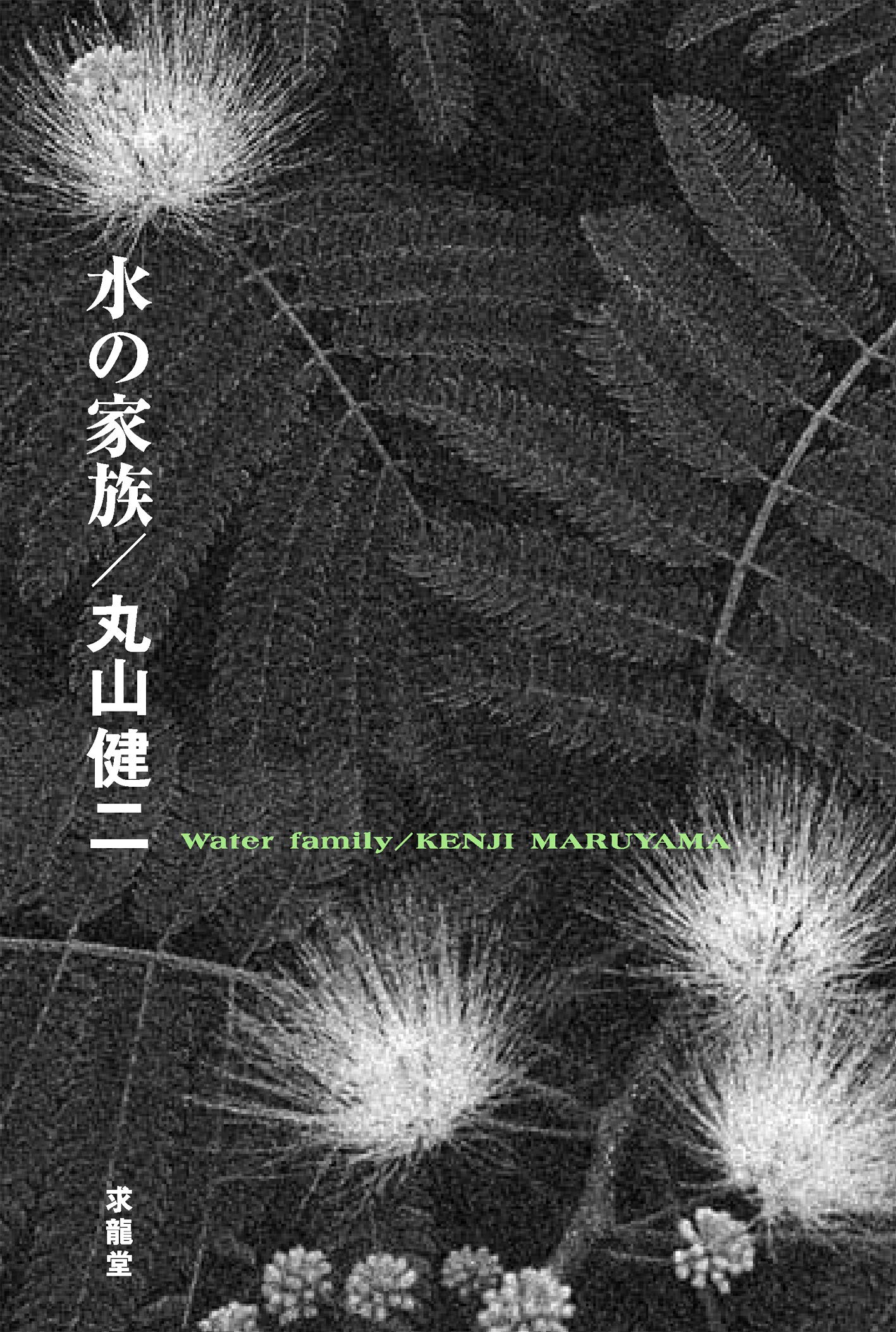 署名入り 丸山健二 おはぐろとんぼ夜話 上中下 左右社 単行本 初版 芥川賞作家 署名入り 丸山健二 おはぐろとんぼ夜話 上中下 左右社 単行本 初版 芥川賞