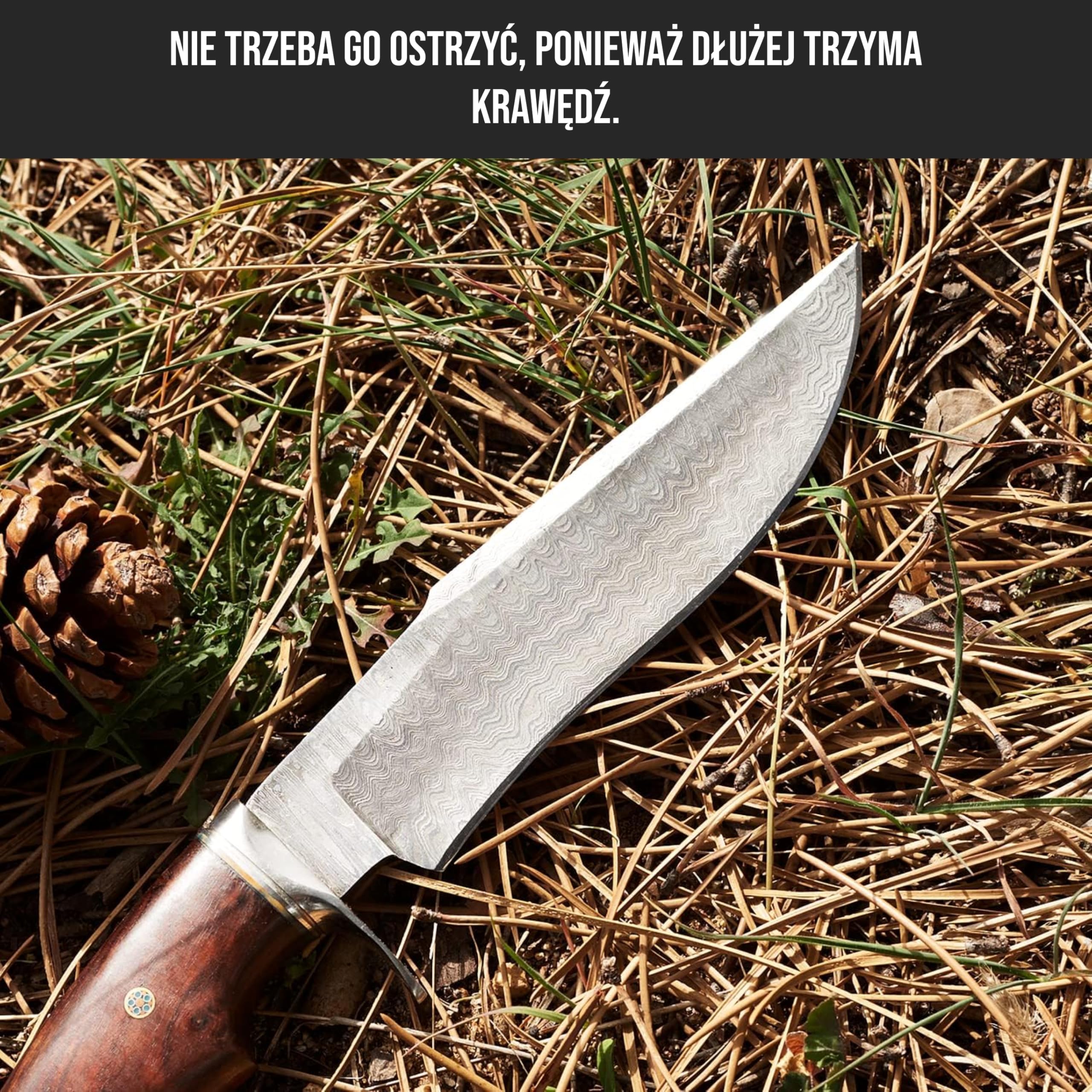 BIGCAT ROAR Ręcznie robiony nóż myśliwski z damasceńskiej stali - nóż stało ostrze z pochewką i uchwytem z orzecha - 12 "nóż outdoorowy - myśliwy leopardów