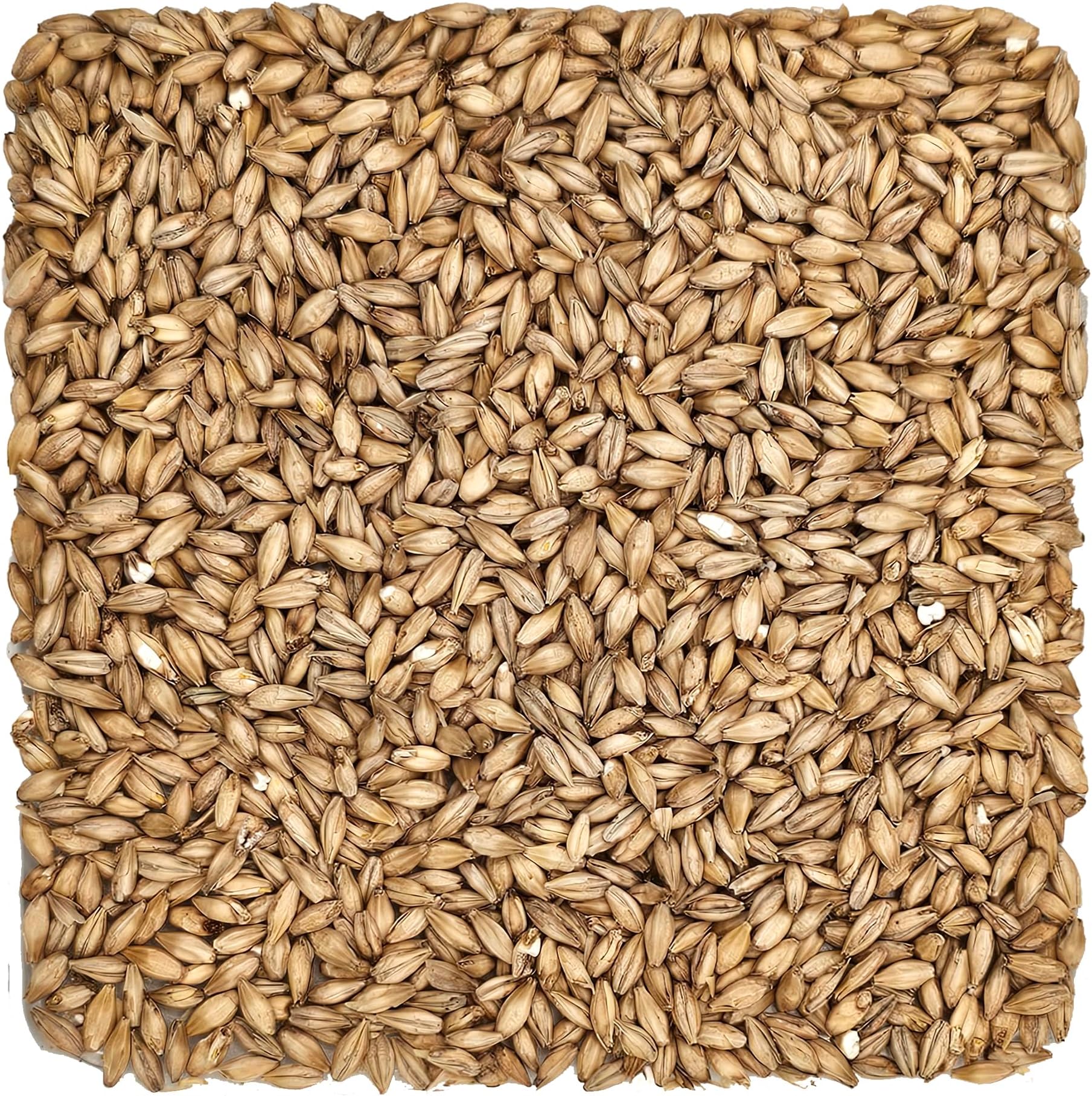 Rahr Standard 2-Row 10 lb