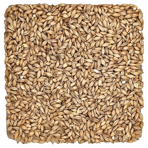 Briess 26-QVZH-HVSI - Malta de cerveceras de grano de EE UU para hacer cerveza y preparar en casa 1 libra 2 filas marrón