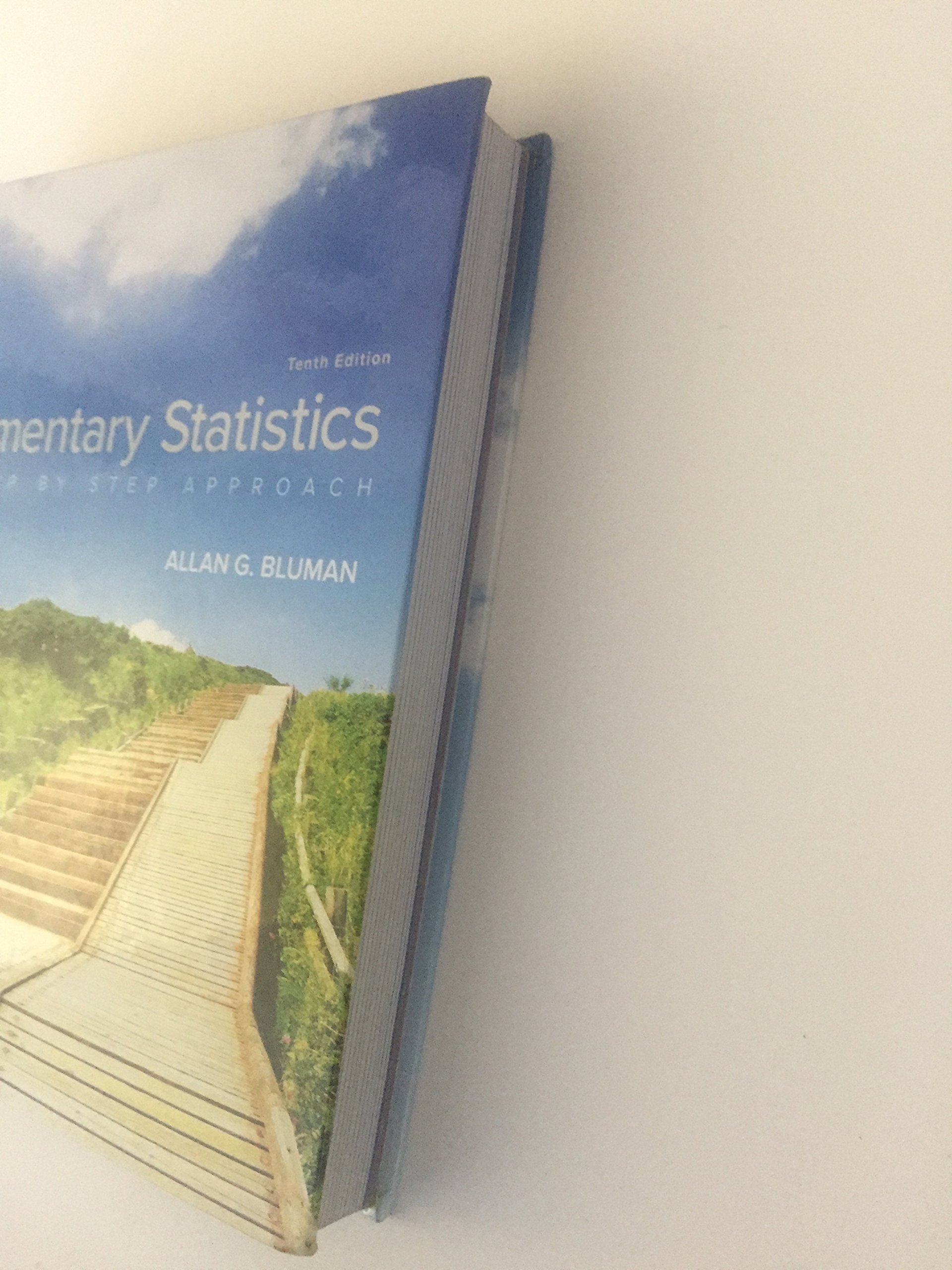 Elementary Statistics: A Step By Step Approach - Image 2