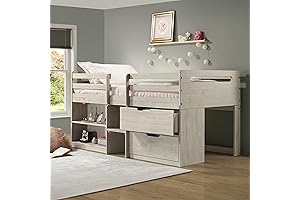 Twin Low Loft Bed with Bookcase and Storage Chest for Kids and Young Adults