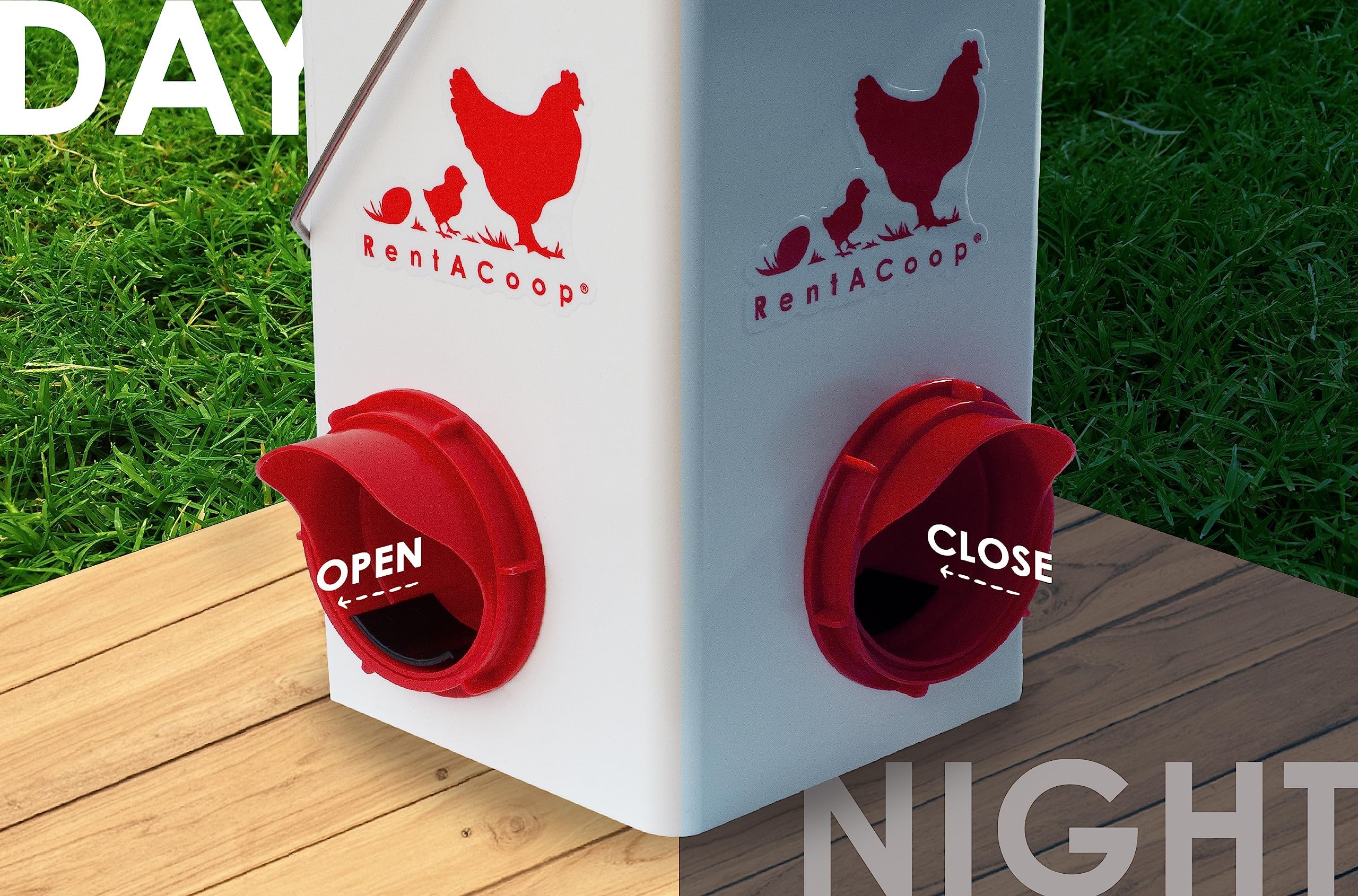 Amazon.co.jp: RentACoop Chick2Chicken 5ポンド 2ポートフィーダー