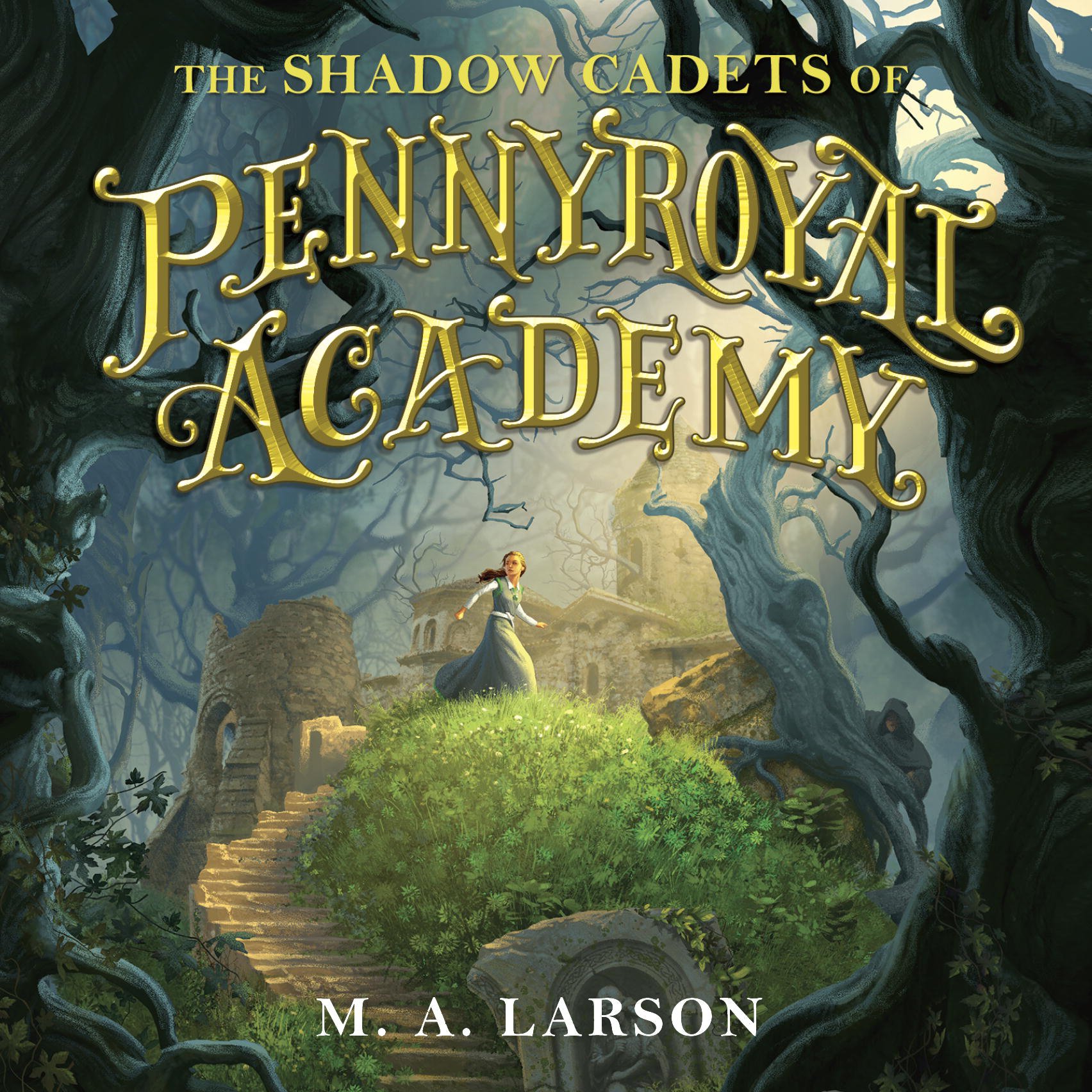 Cover art for The Shadow Cadets of Pennyroyal Academy